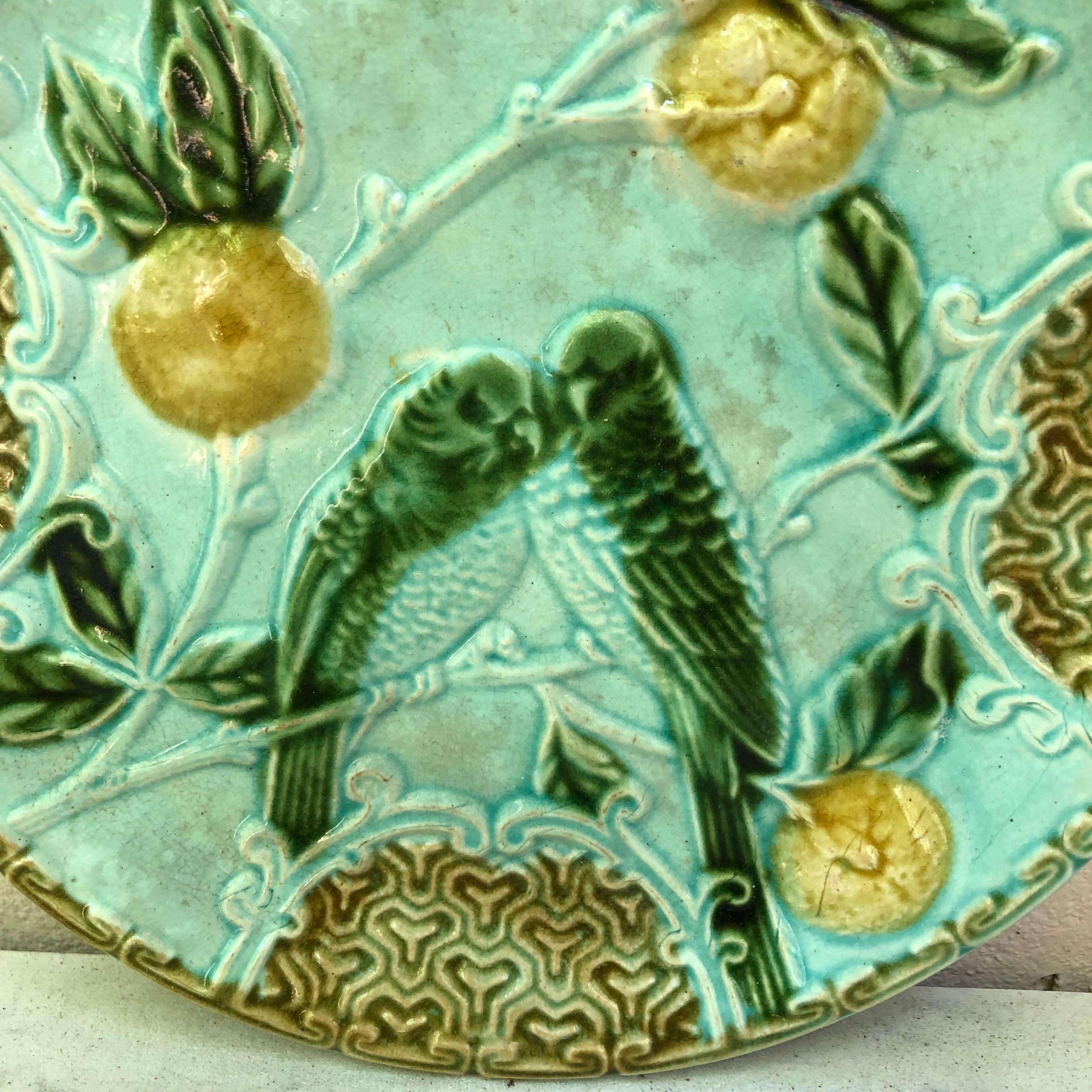 Majolica plate two parakeets on a blue background with oranges signed Salins, circa 1890.
 