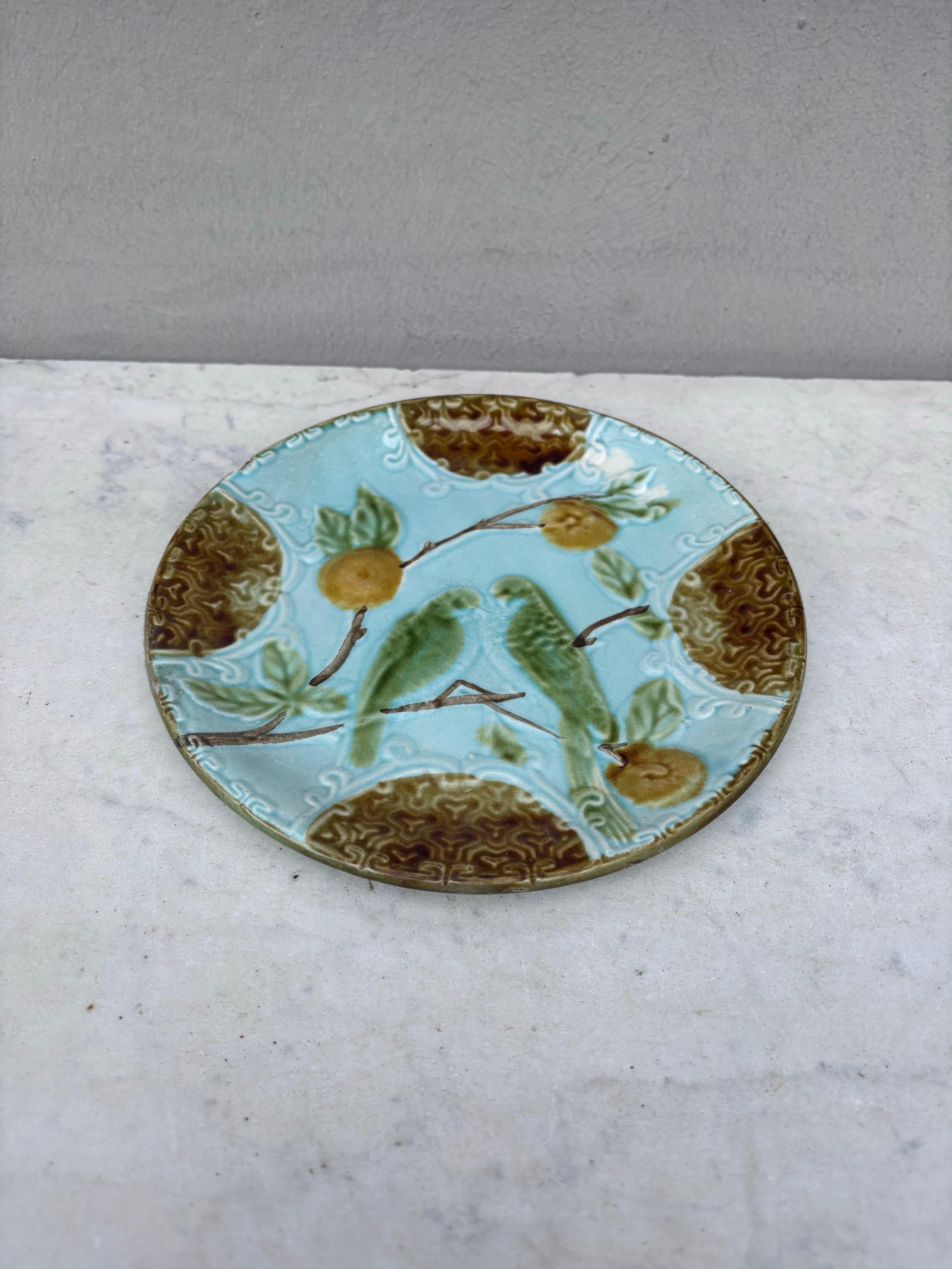 Majolika Teller zwei Sittiche auf blauem Hintergrund mit Orangen Salins, um 1890.
 