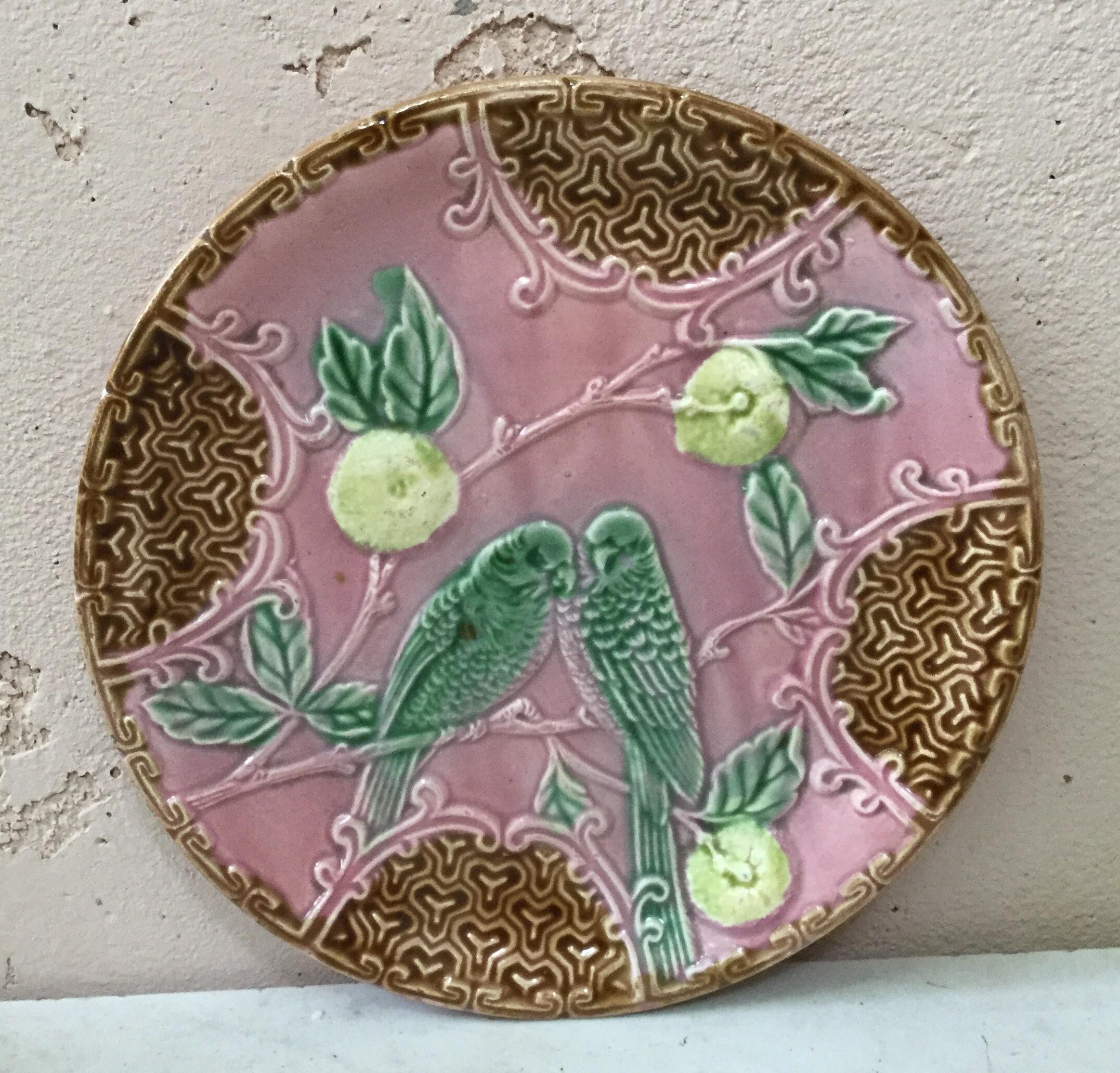 Majolica plate with two parakeets on a very rare pink background with oranges of Salins, circa 1890.
 