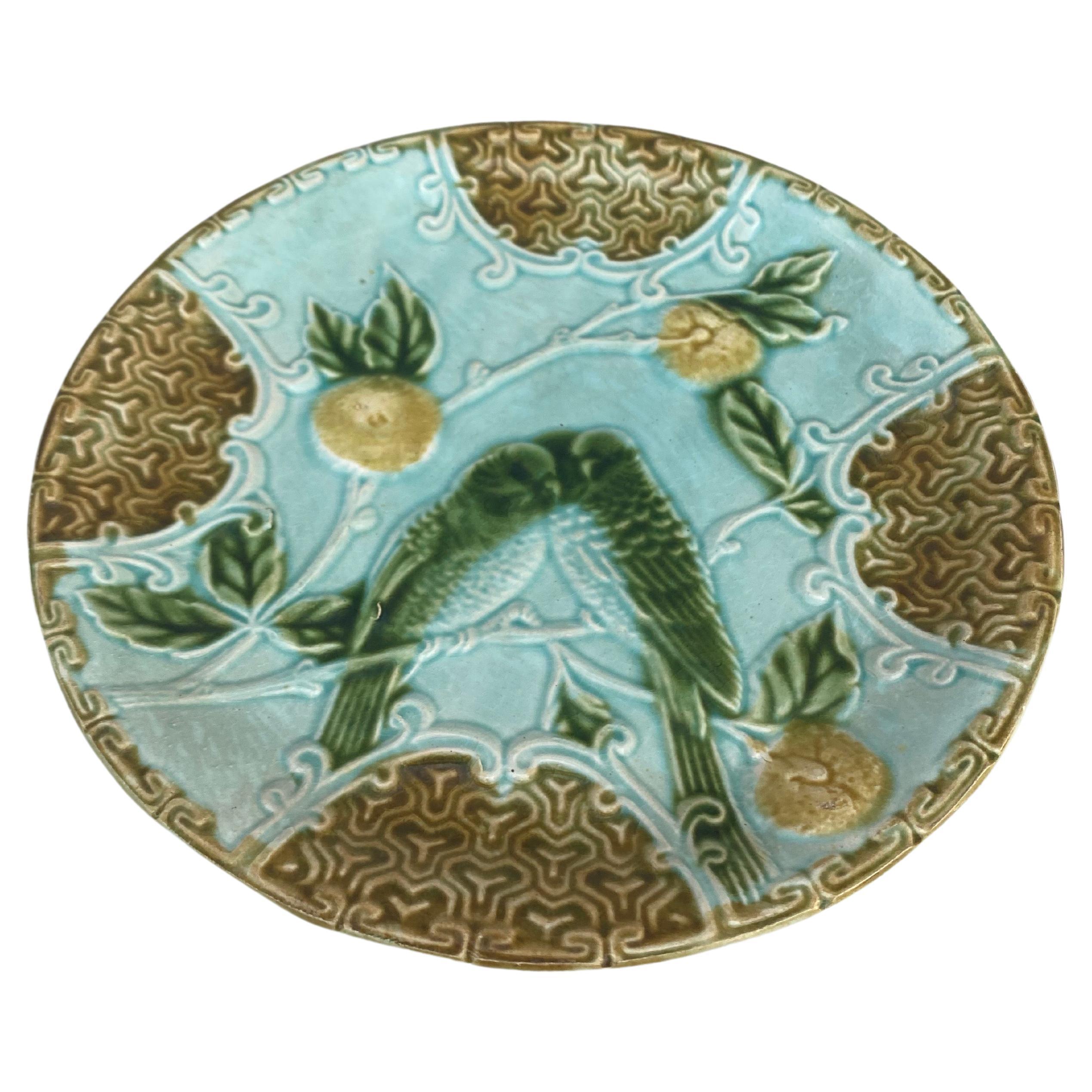 Majolica plate two parakeets on a blue background with oranges signed Salins, circa 1890.
   