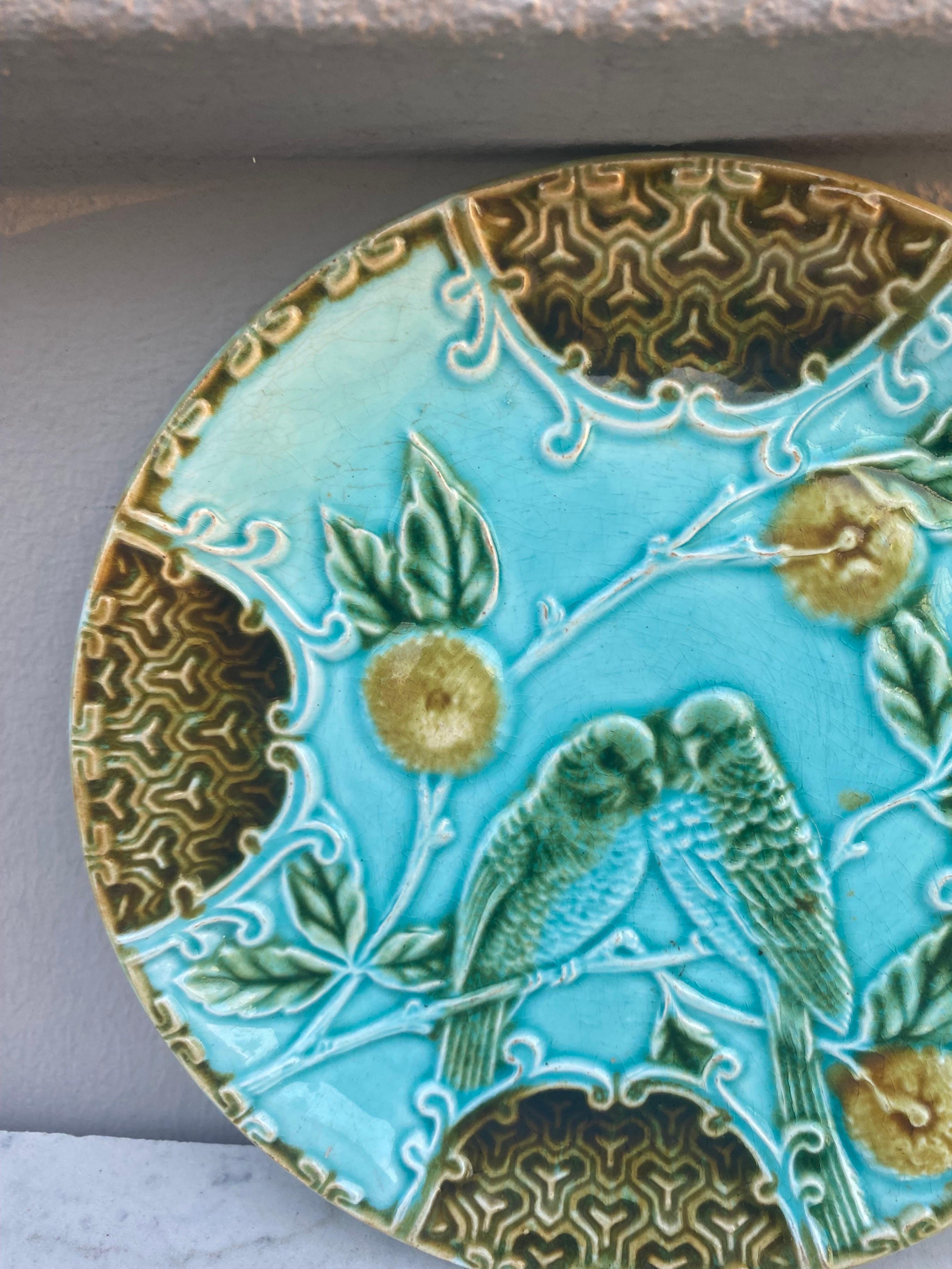 Majolica plate two parakeets on a blue background with oranges signed Salins, circa 1890.
 