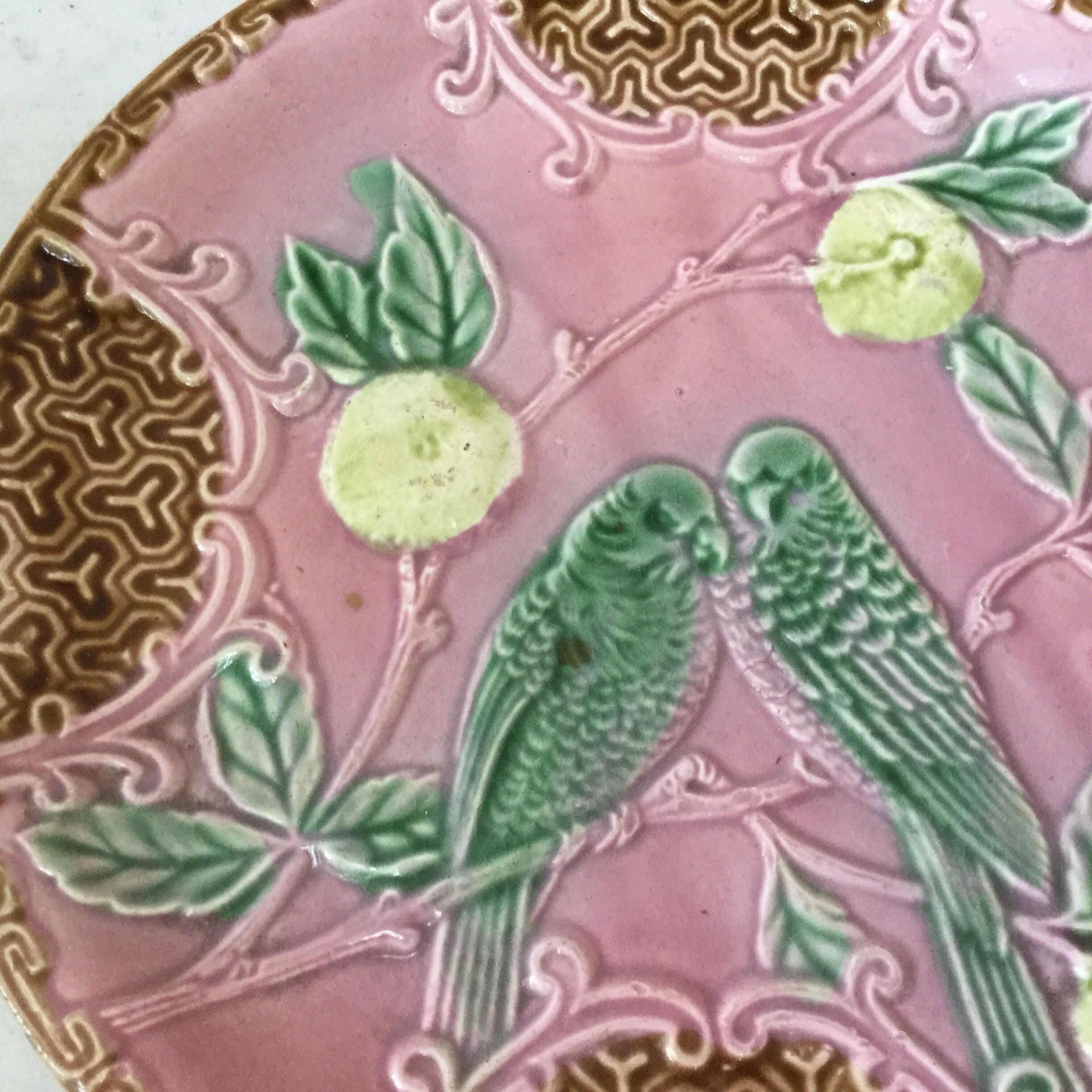 Art Nouveau Majolica Parakeets Plate Salins, circa 1890