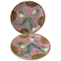 Majolica Parakeets Plate Salins, circa 1890