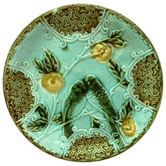 Majolica Parakeets Plate Salins, circa 1890