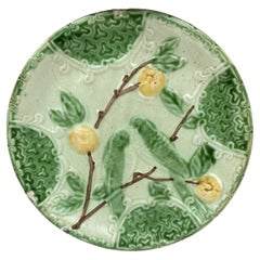 Majolica Parakeets Plate Salins, circa 1890