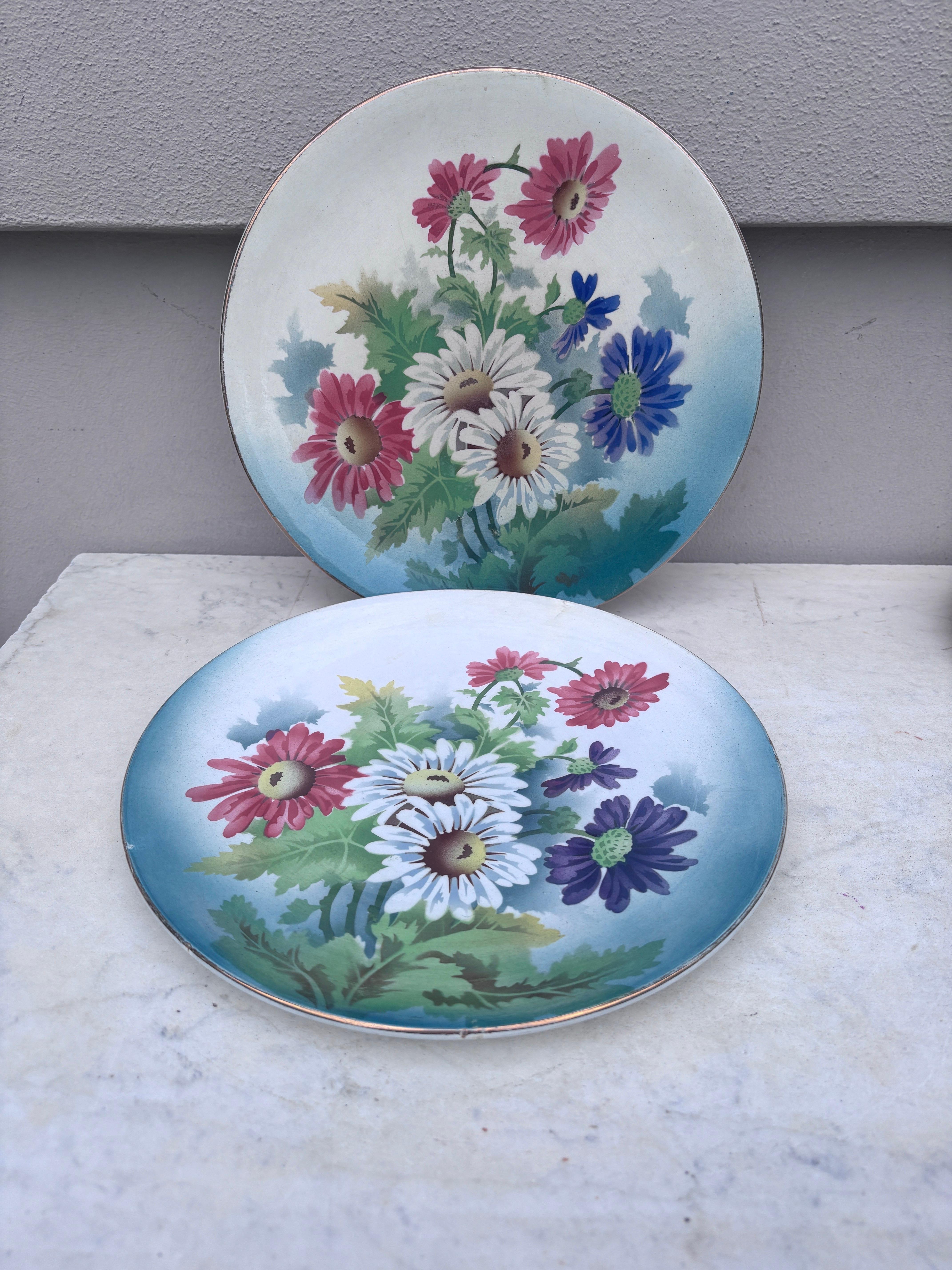 Late 19th Century Majolica Plate Lily & Butterfly Choisy le Roi, circa 1880 For Sale