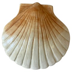 Majolica Scallop Shell Tureen Caugant, circa 1950