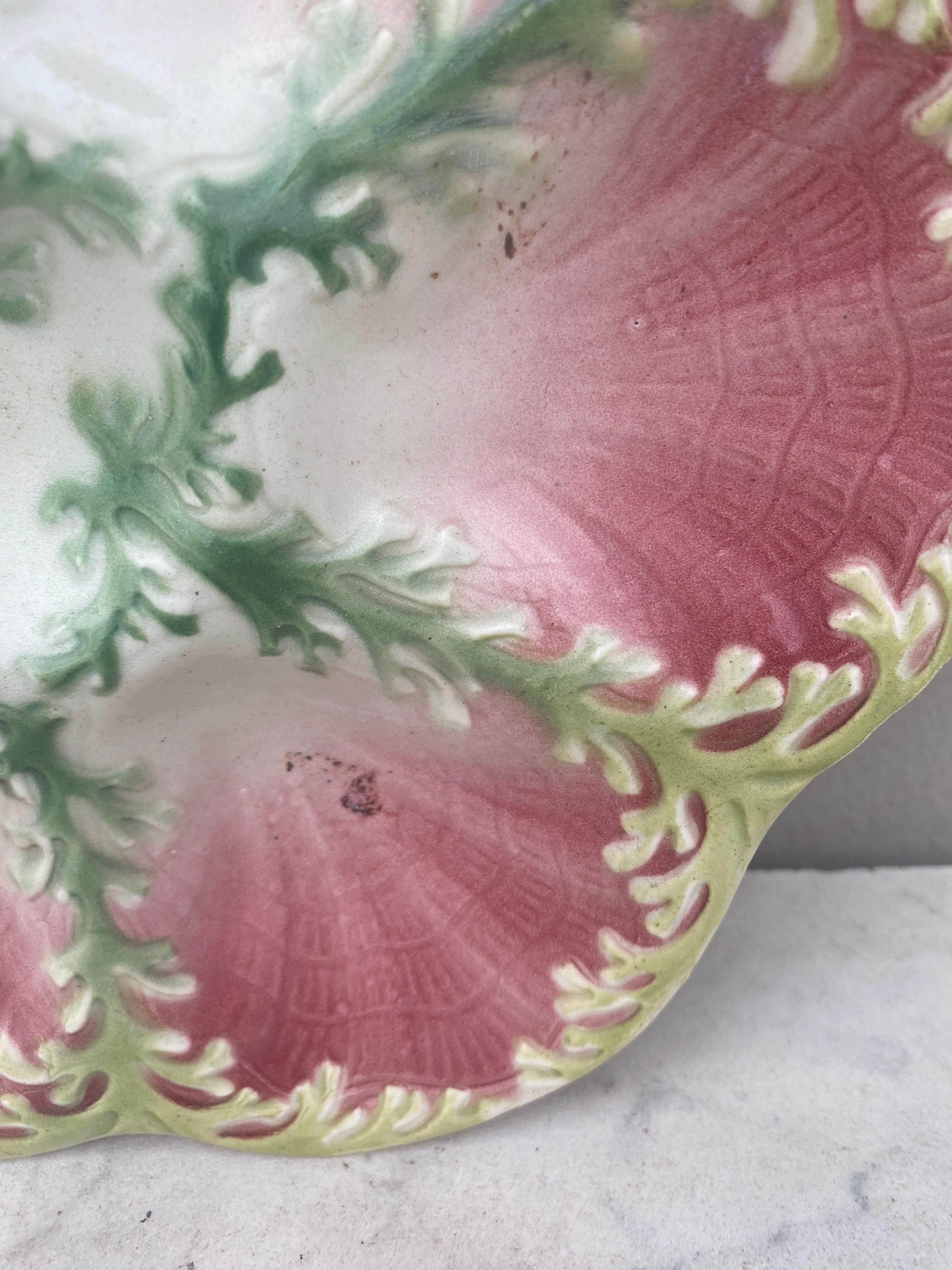 Aesthetic Movement Majolica Seaweeds Oyster Plate Keller and Guerin Saint Clement, circa 1890 For Sale