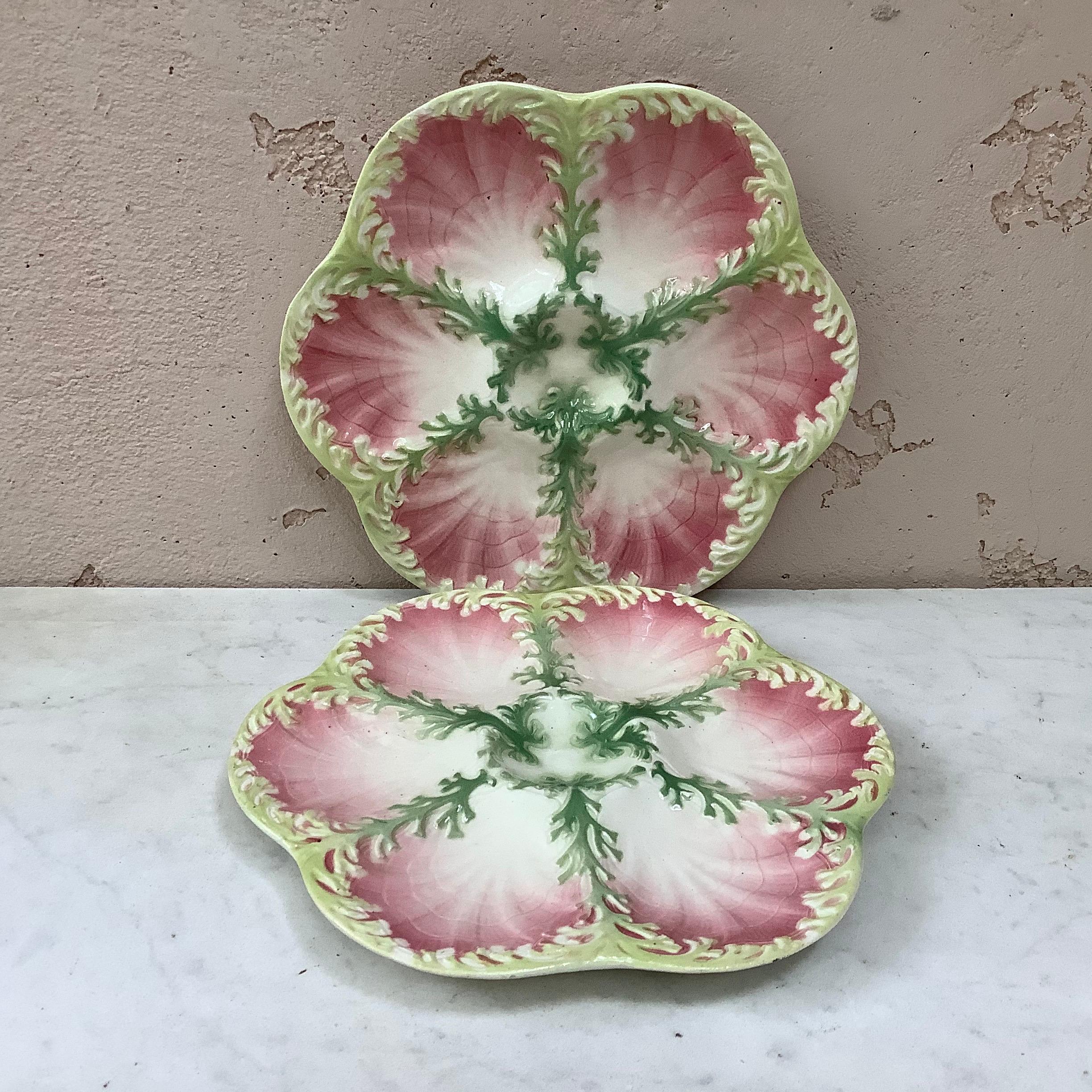 French Majolica Seaweeds Oyster Plate Keller and Guerin Saint Clement, circa 1890