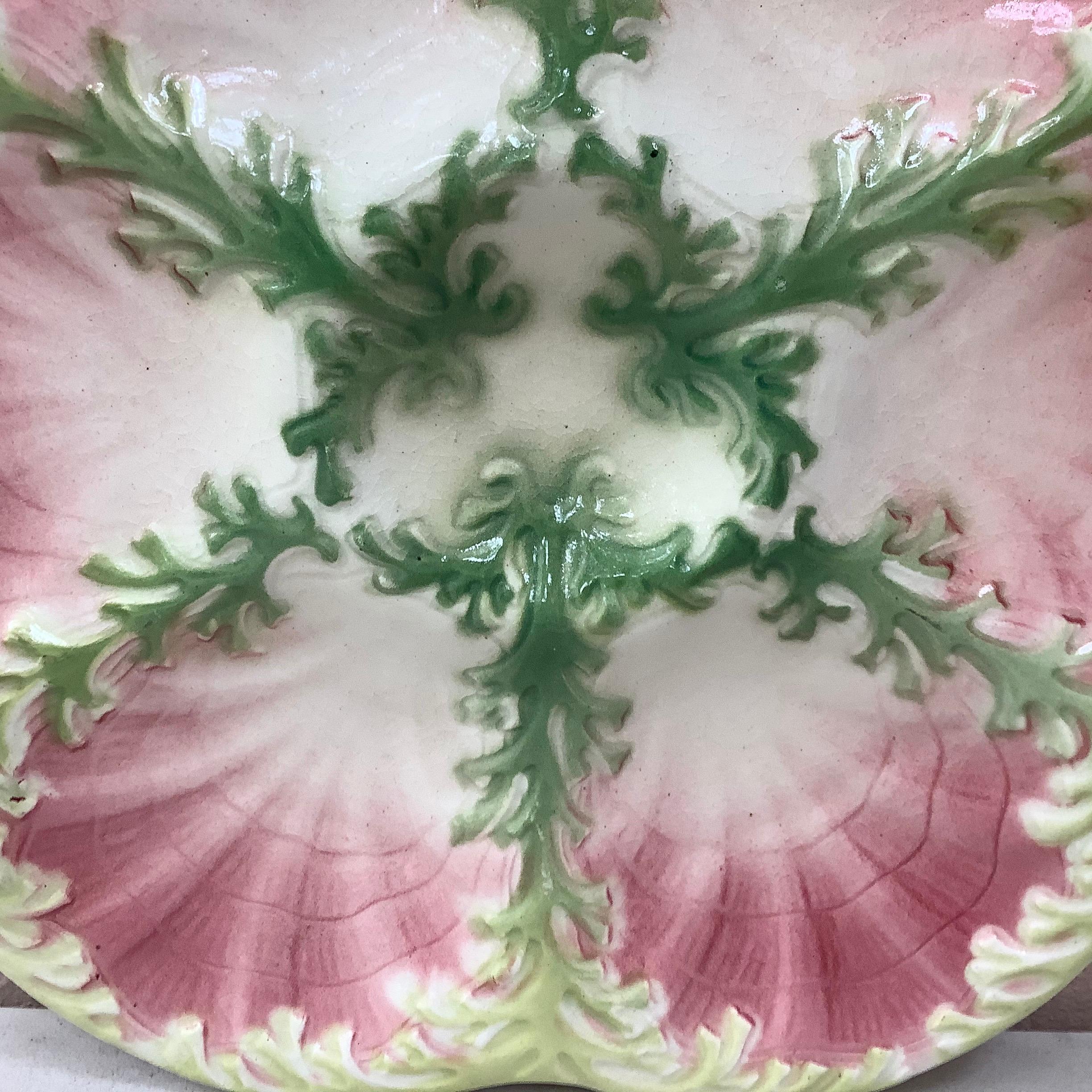 Majolica Seaweeds Oyster Plate Keller and Guerin Saint Clement, circa 1890 In Good Condition In Austin, TX