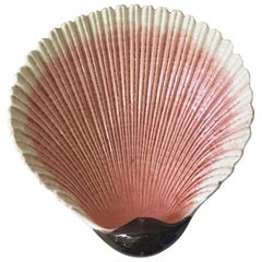 Majolica Shell Platter Sarreguemines, circa 1890