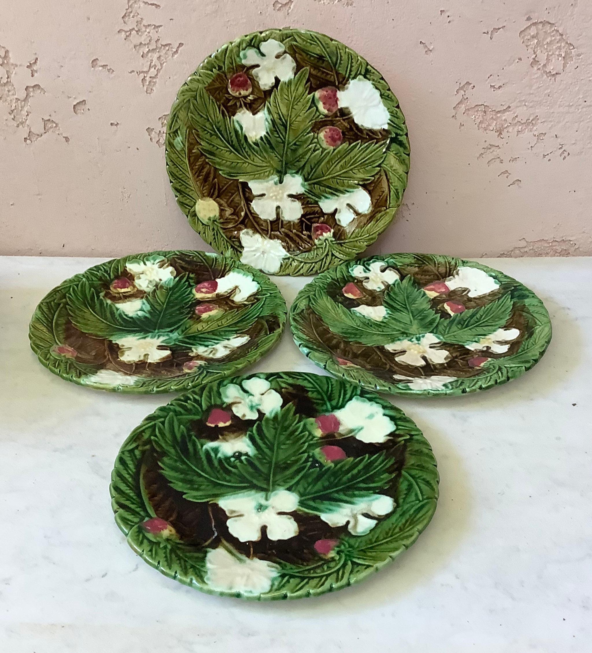 Country Majolica Strawberries Plate Orchies, circa 1890