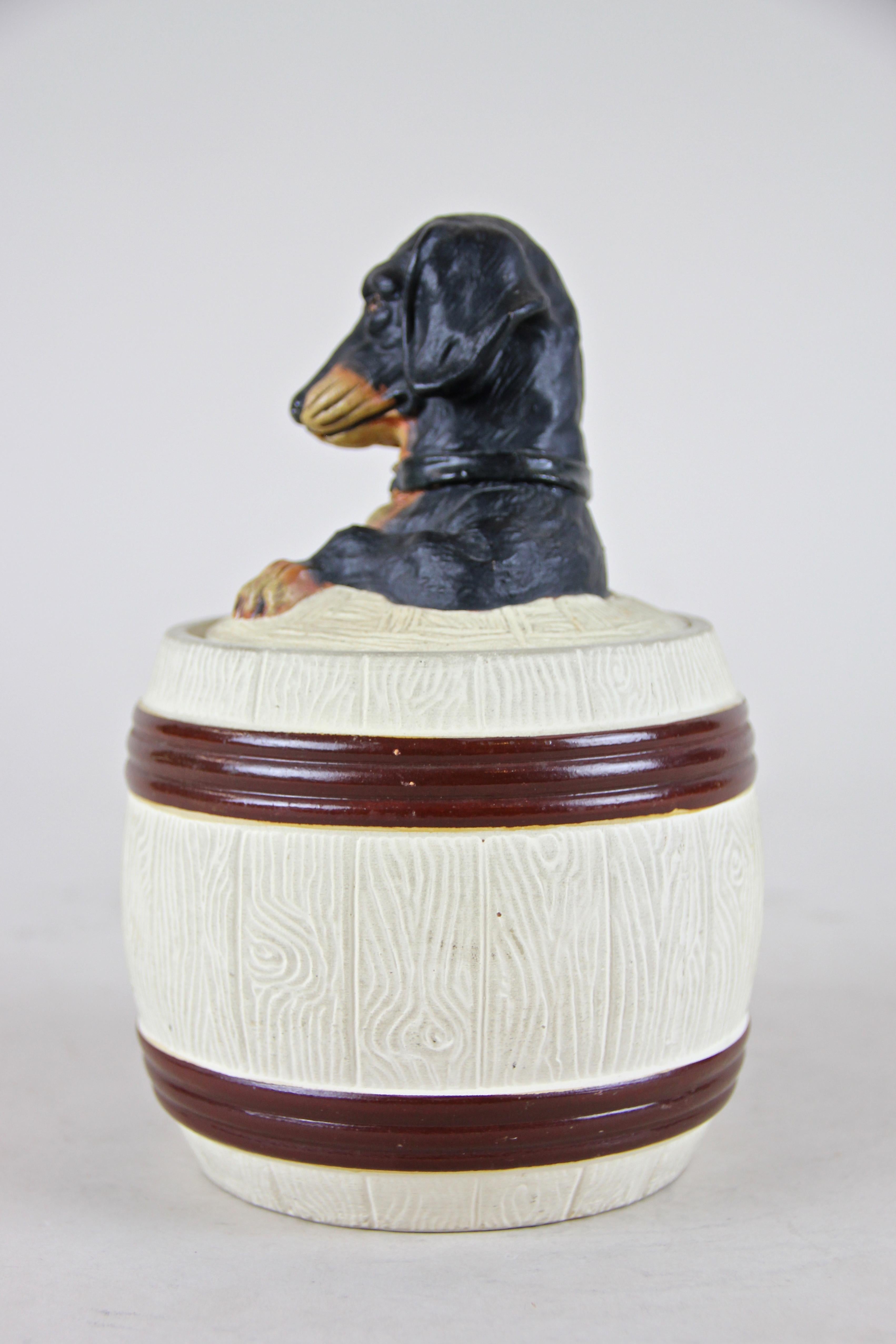 dachshund cookie jar