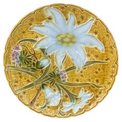 Antique Majolica White Flowers Villeroy & Boch, circa 1900