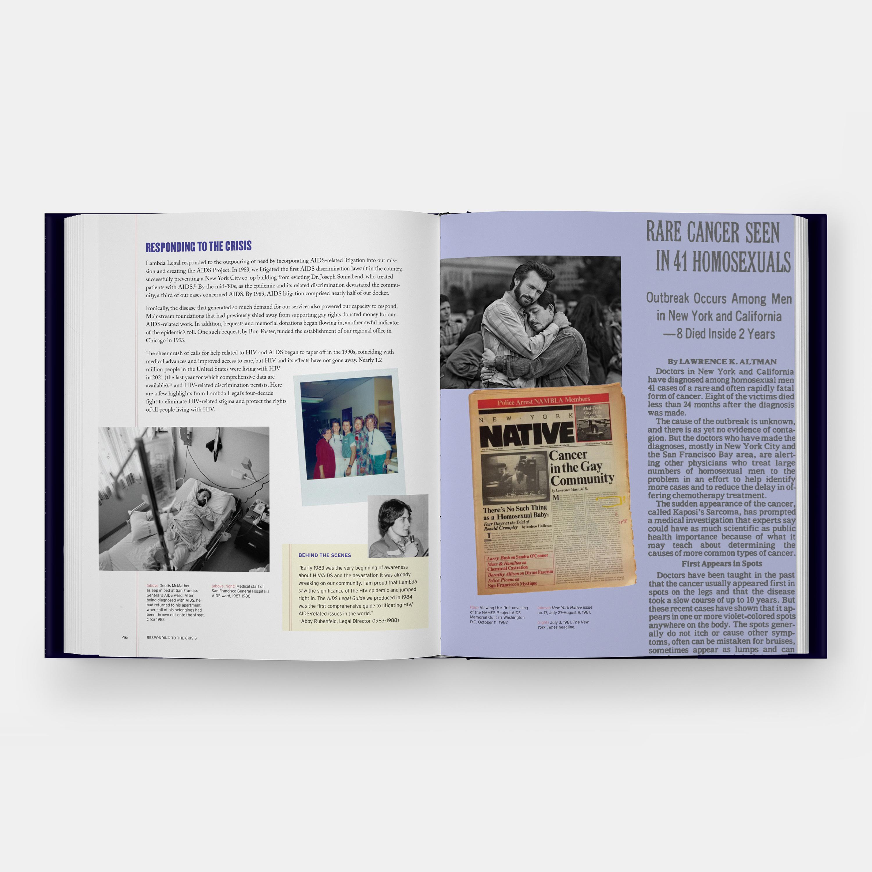 Carta Making the Case for Equality: 50 anni di pietre miliari nella storia LGBTQ in vendita