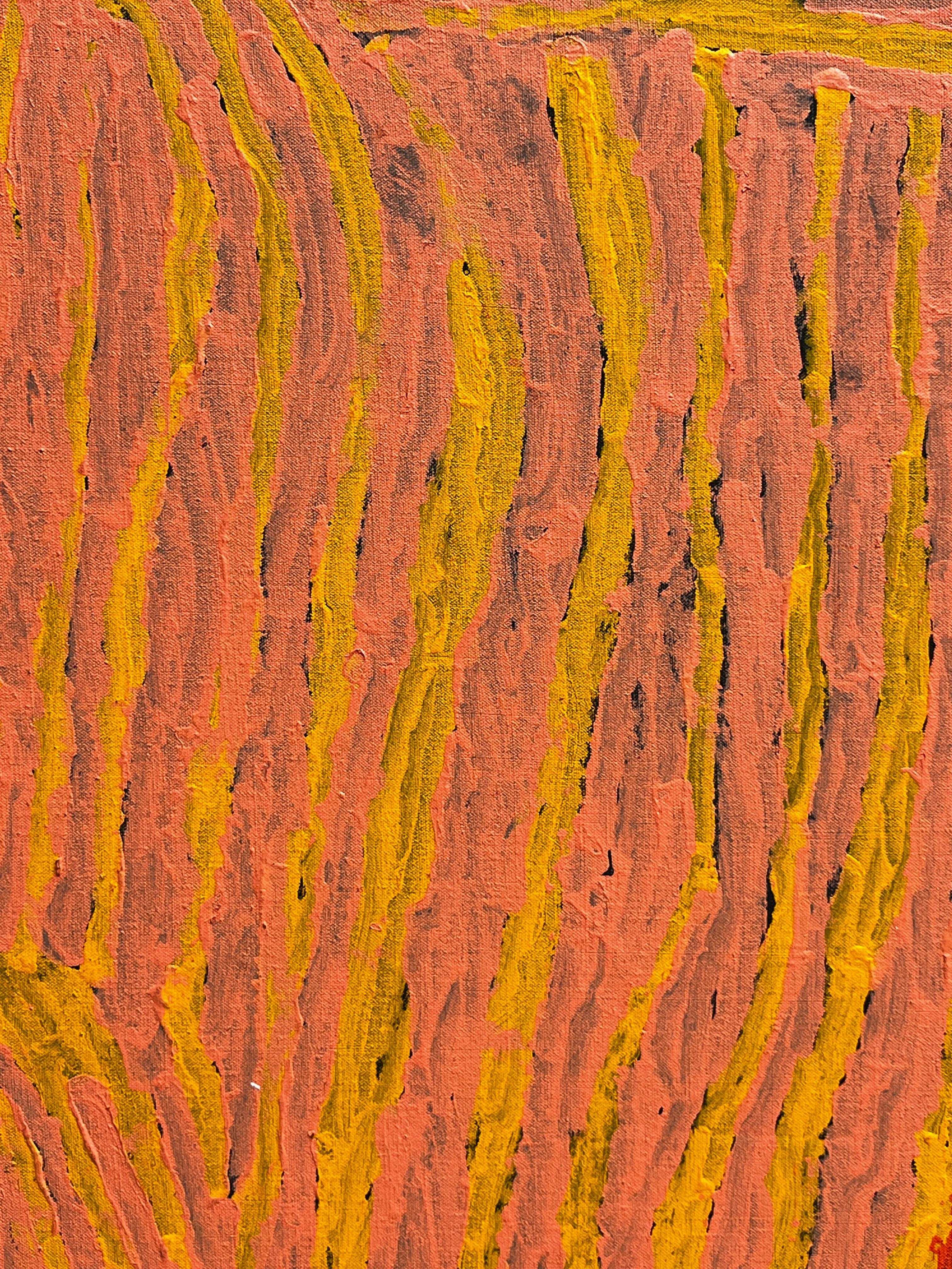 Damen-Haarreif (Zeitgenössisch), Painting, von Makinti Napanangka