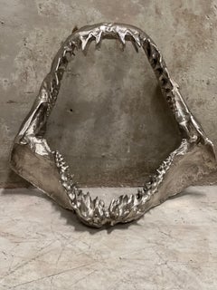 Mako Shark Jaw Made of Cast Chrome-Plated Metal