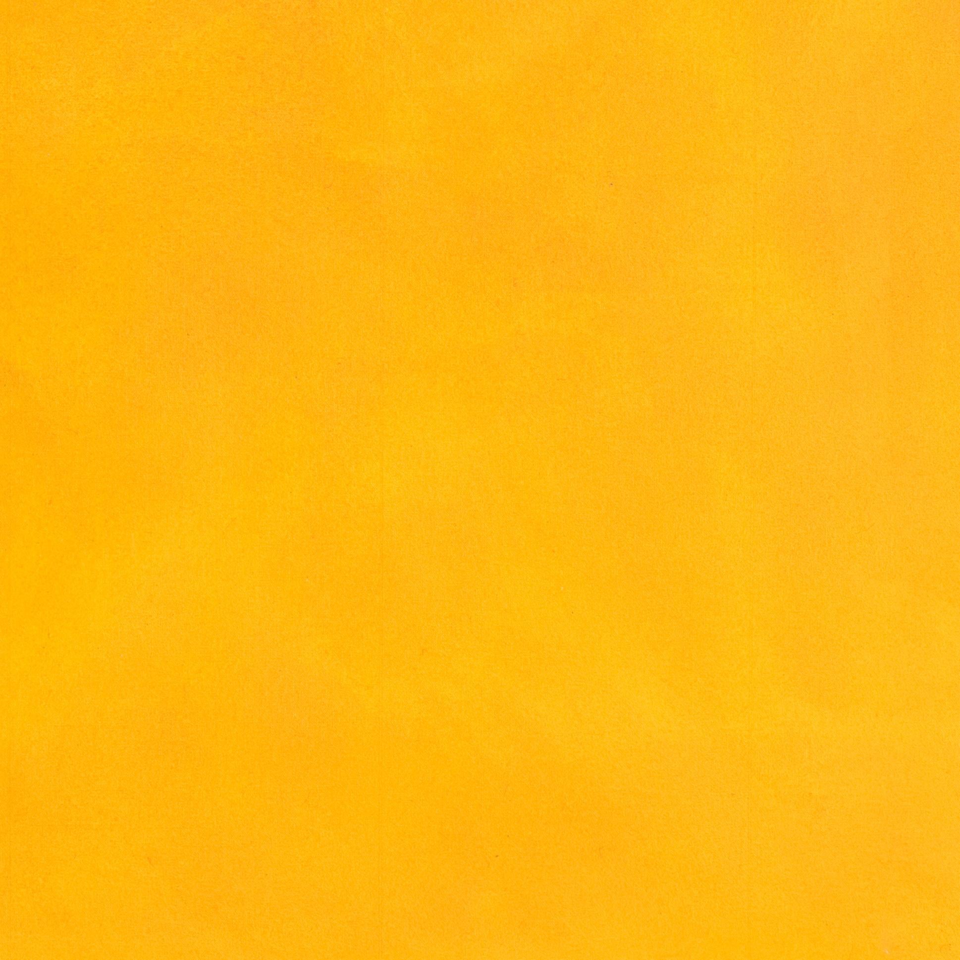12.1.98 - Colorfield Painting par Mala Breuer
