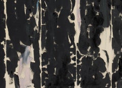 Via dell'Acqua (7,79)