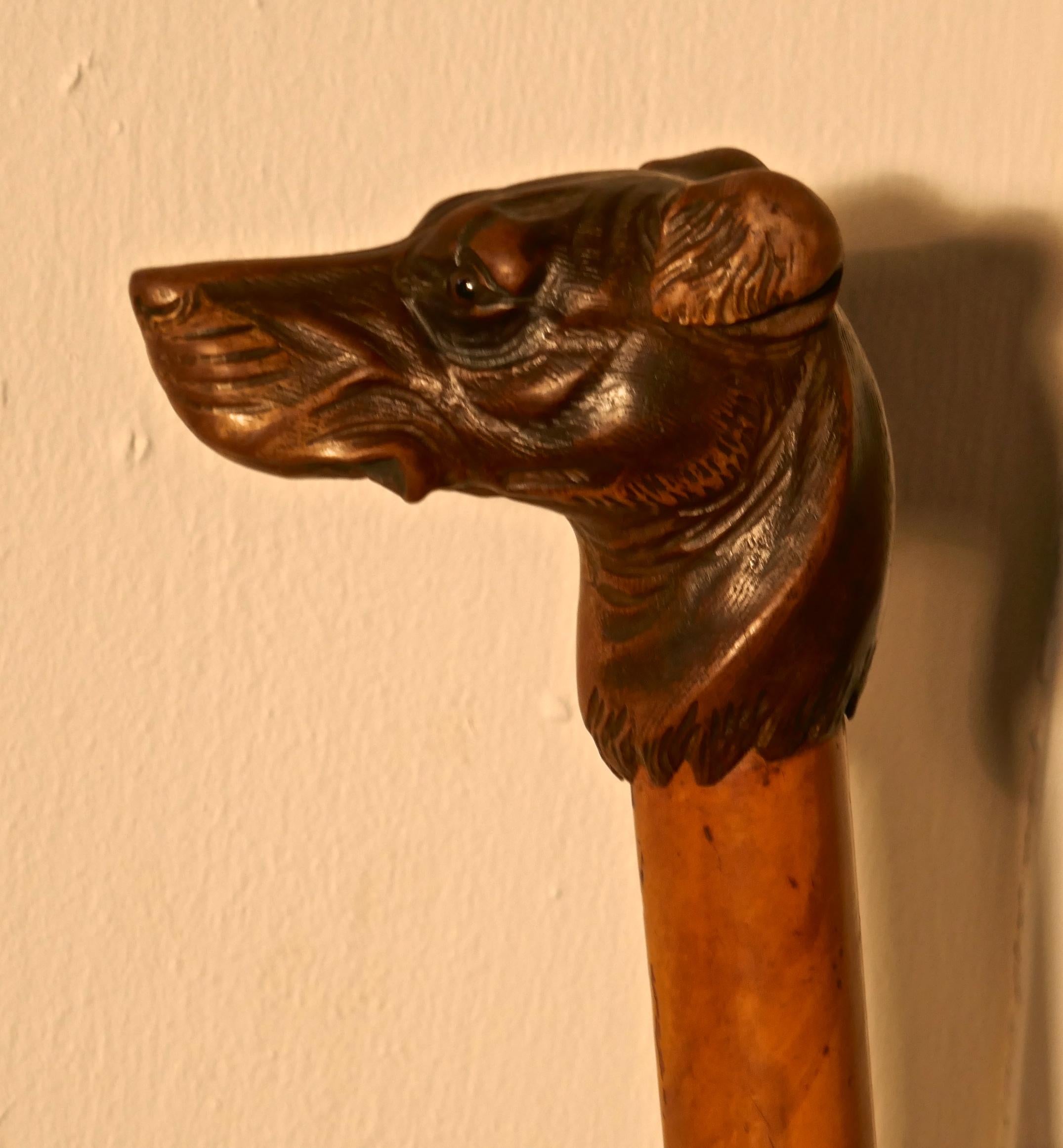 Malacca Cane with Carved Dog Head and Silver Collar 3