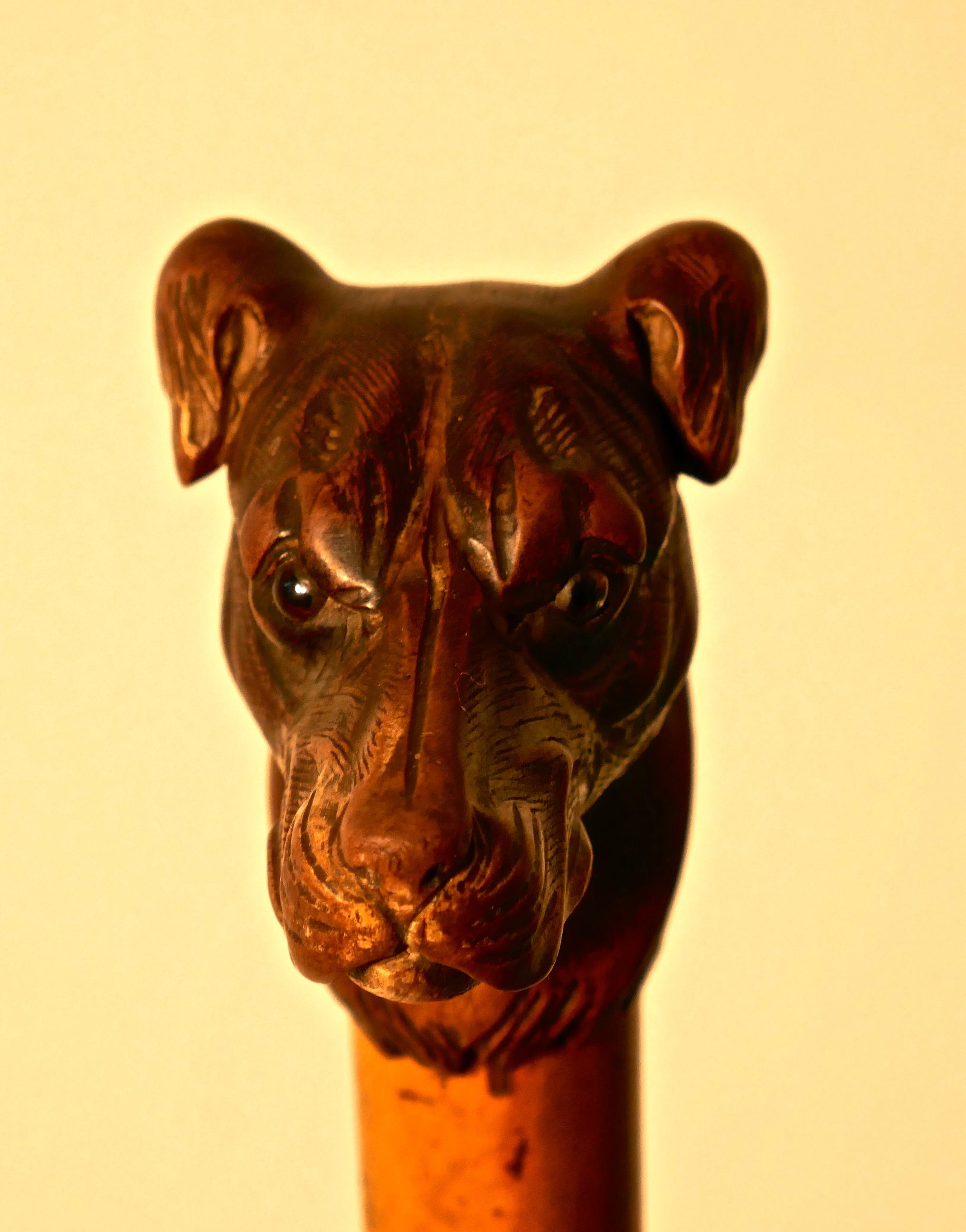 Folk Art Malacca Cane with Carved Dog Head and Silver Collar