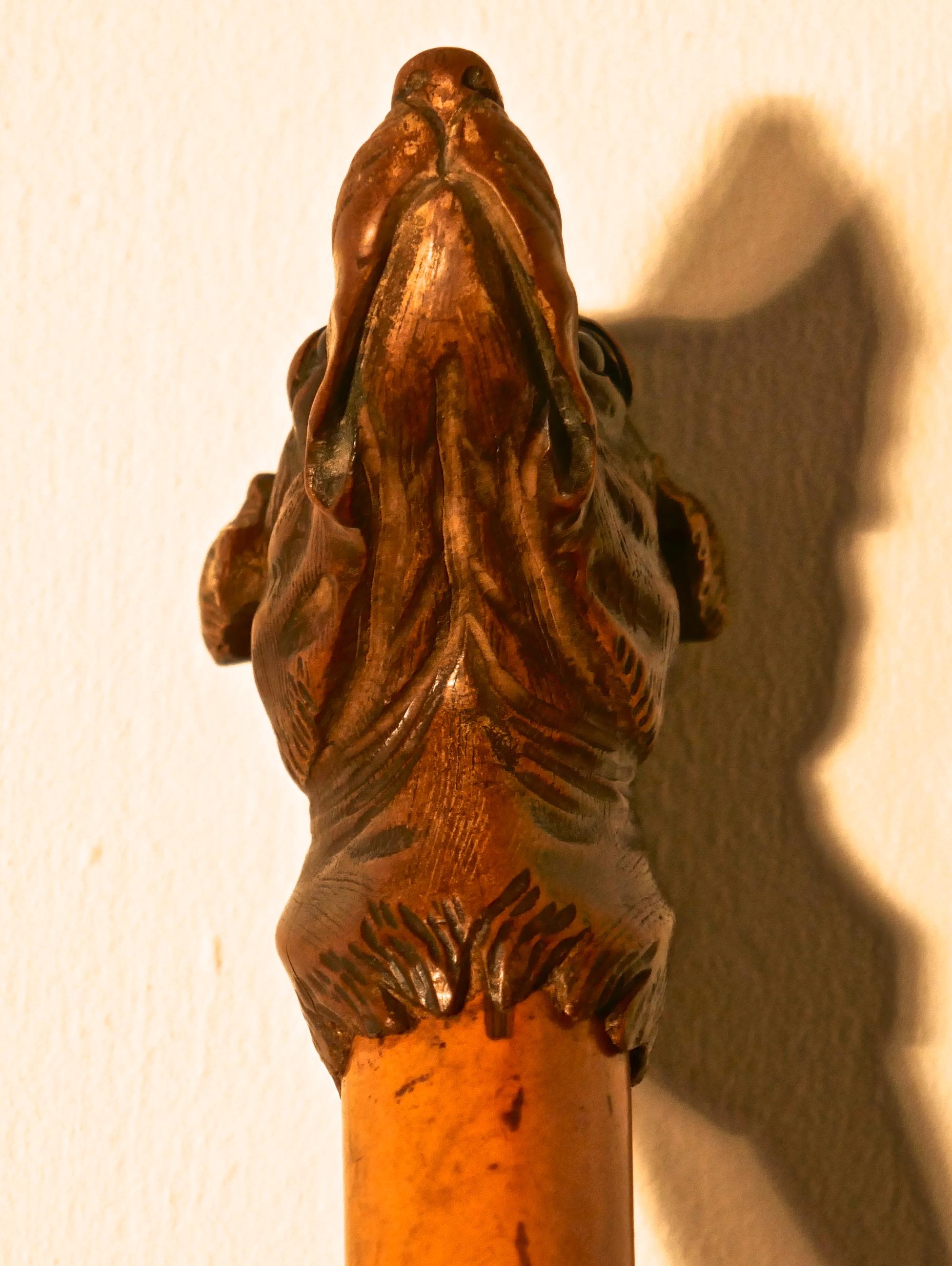 Malacca Cane with Carved Dog Head and Silver Collar In Good Condition In Godshill, Isle of Wight
