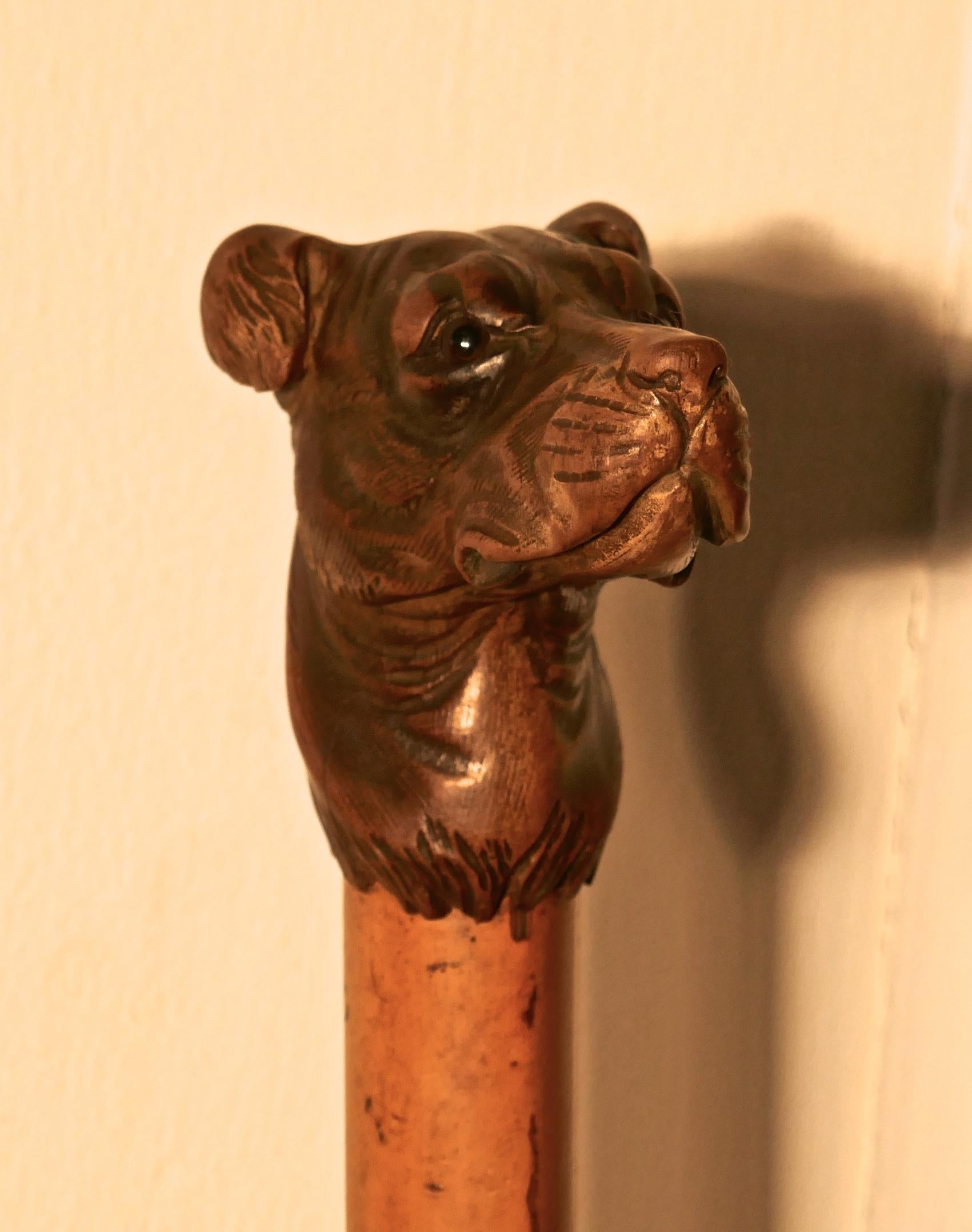 Malacca Cane with Carved Dog Head and Silver Collar 1