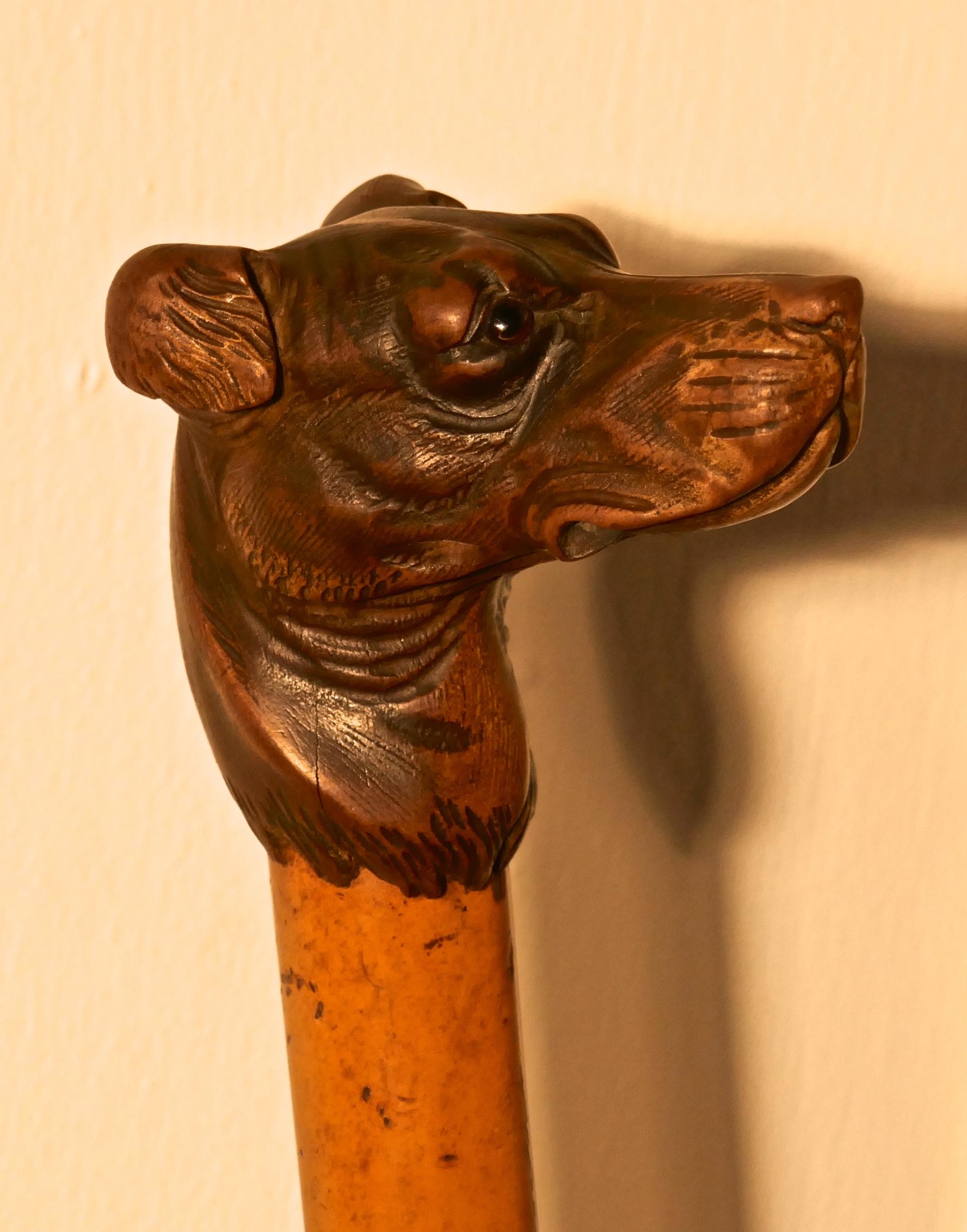 Malacca Cane with Carved Dog Head and Silver Collar 2