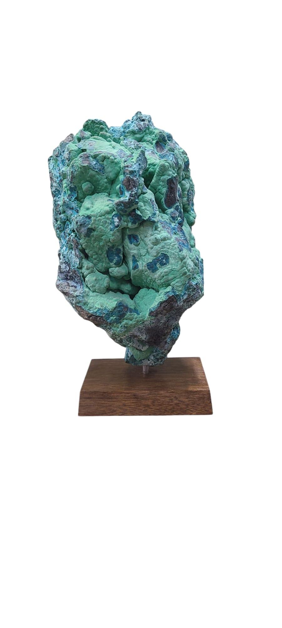 Malachite and Chrysocolla, rough from Congo on wooden stand In New Condition For Sale In MARSEILLE, FR