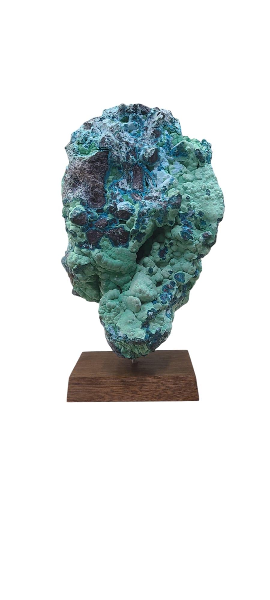 Malachite and Chrysocolla, rough from Congo on wooden stand For Sale 1