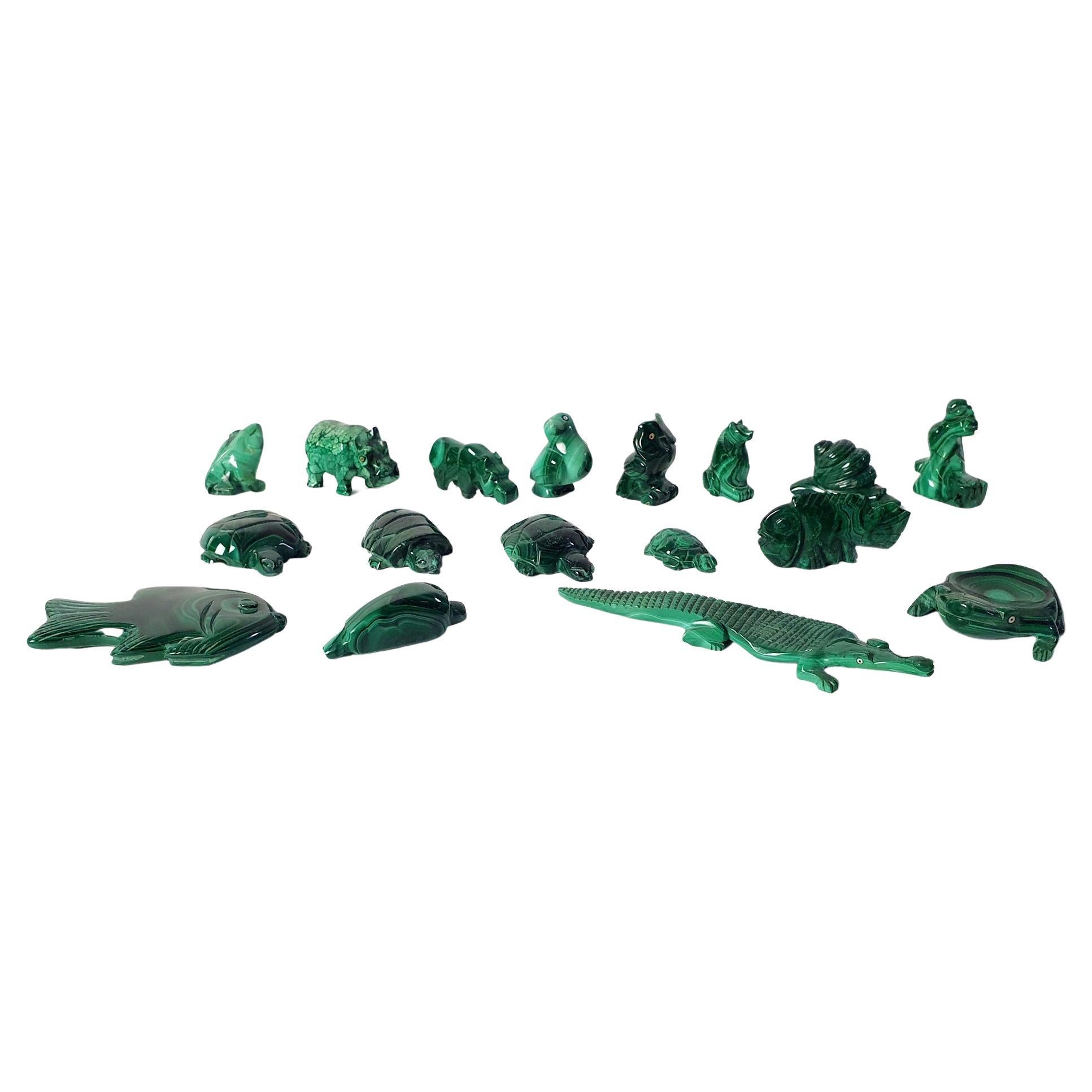 Collection d'animaux malachite