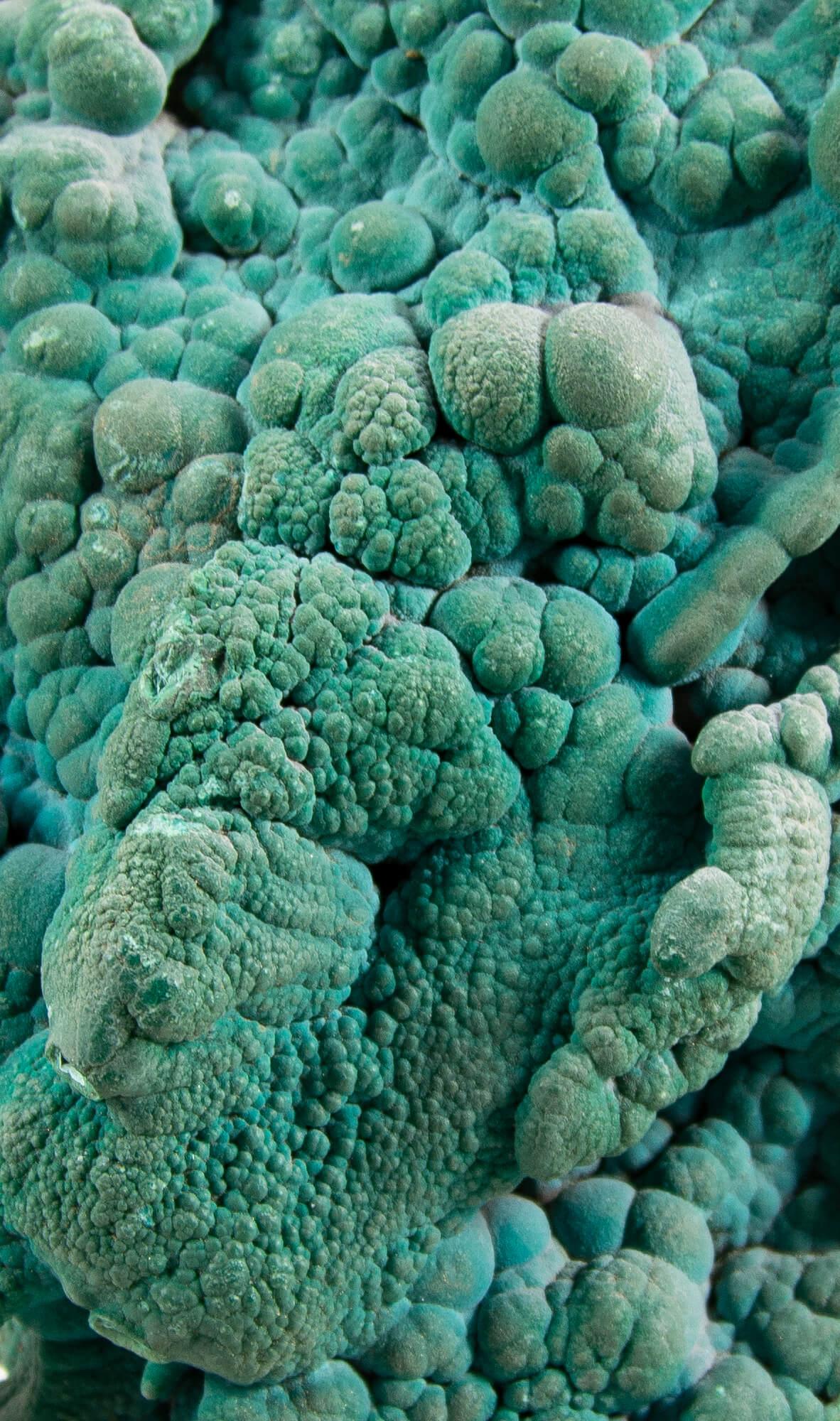 Cristallo di malachite con supporto in ottone in vendita 3