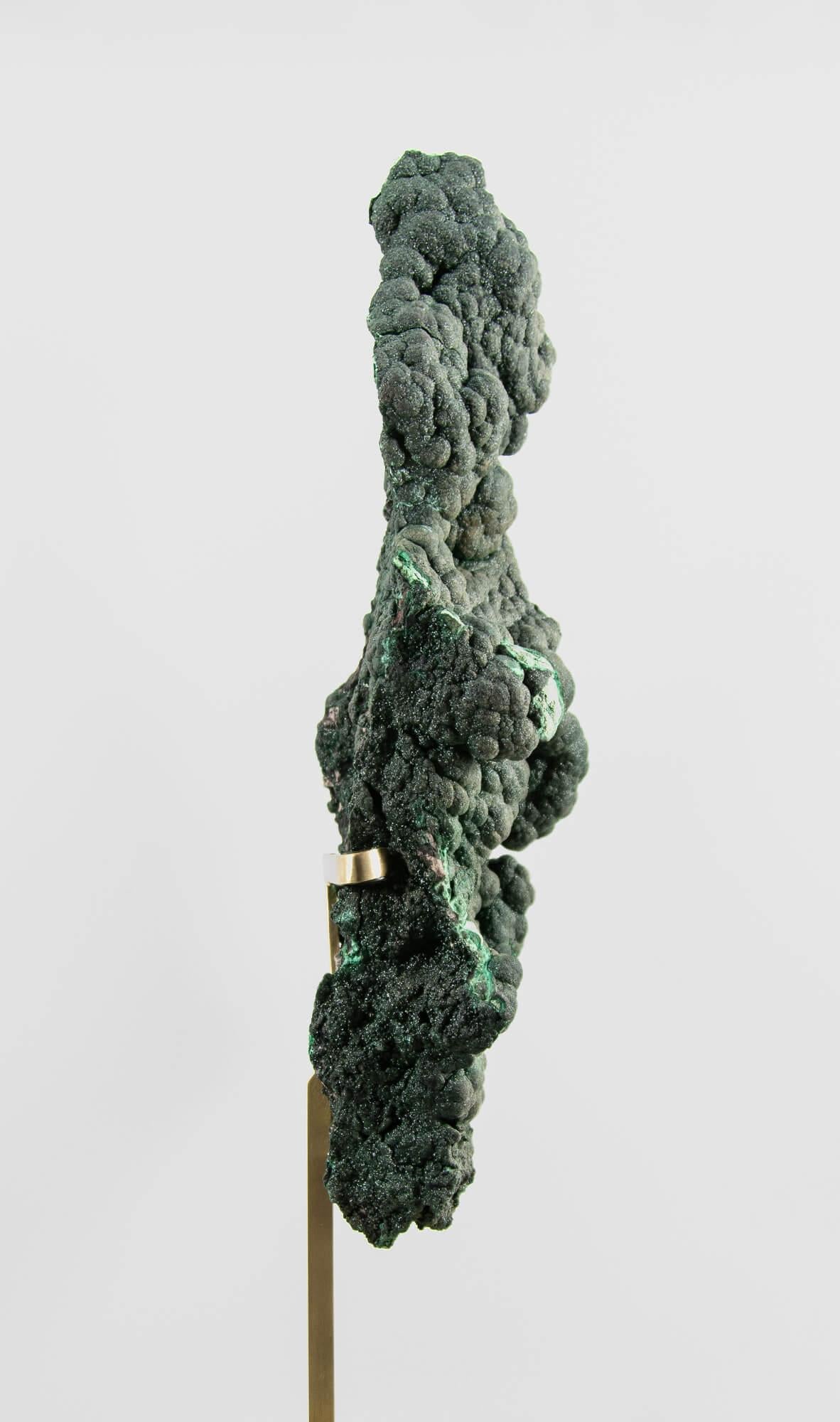 Preistorico Cristallo di malachite con supporto in ottone in vendita