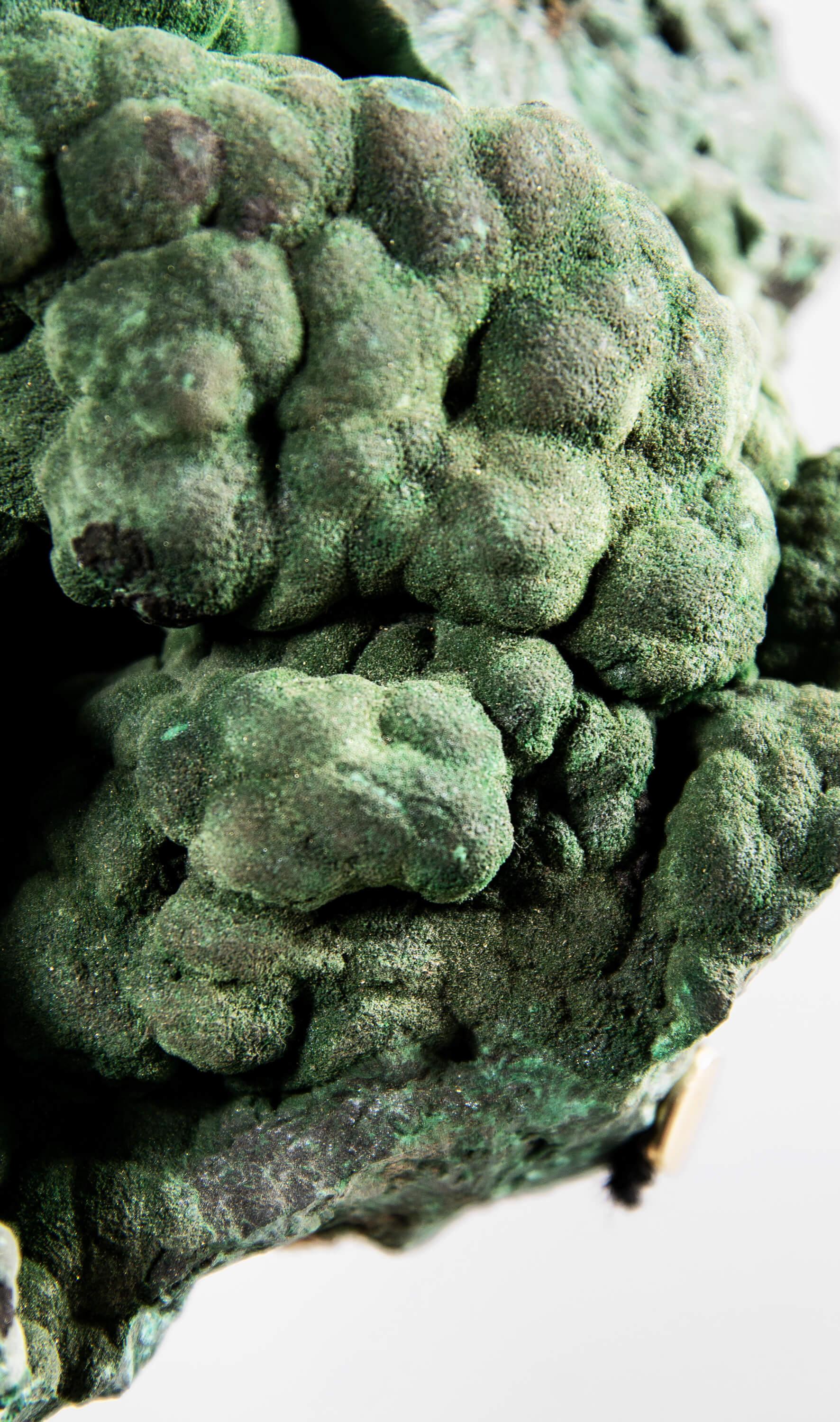 Ottone Cristallo di malachite con supporto in ottone in vendita