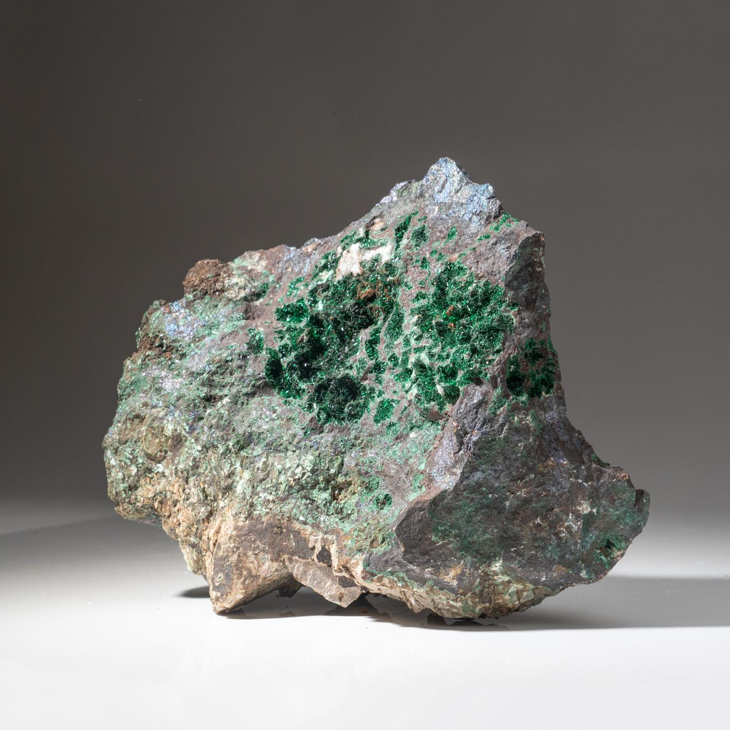 Aus der Provinz Katanga (Shaba), Demokratische Republik Kongo (Zaire)

Glänzend transparente grüne nadelförmige Malachitkristalle, die Hohlräume auf einer Cuprit-Matrix auskleiden. Die Kristalloberfläche hat einen schillernden Glanz mit heller,
