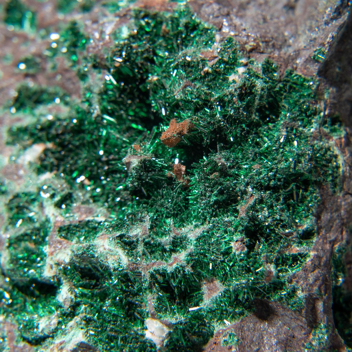 Malachitkristalle auf Kupfer Matrix Democratic Republic of the Congo (Zaire) (21. Jahrhundert und zeitgenössisch) im Angebot