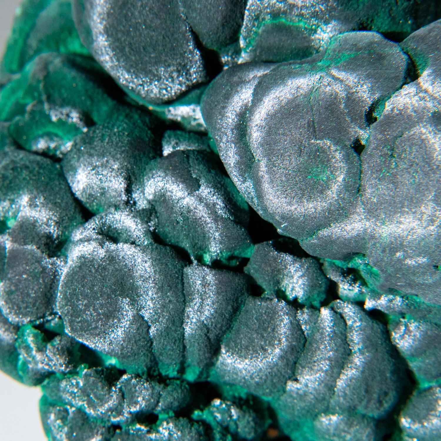 From Shaba Copper Belt, Katanga (Shaba) Province, Democratic Republic of the Congo (Zaire)

A sculptural velvet botryoidal formation of solid velvety green malachite from the famous copper mines of Shaba. Beautiful lustrous even green color all