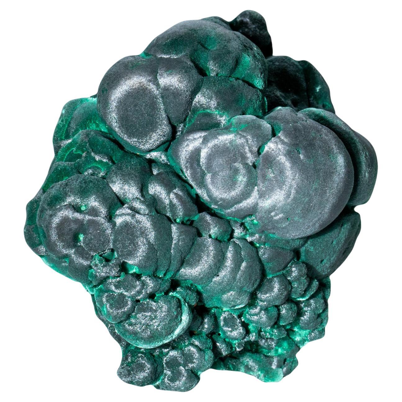 Malachite from Katanga 'Shaba' Province, Democratic Republic of the Congo'Zaire'