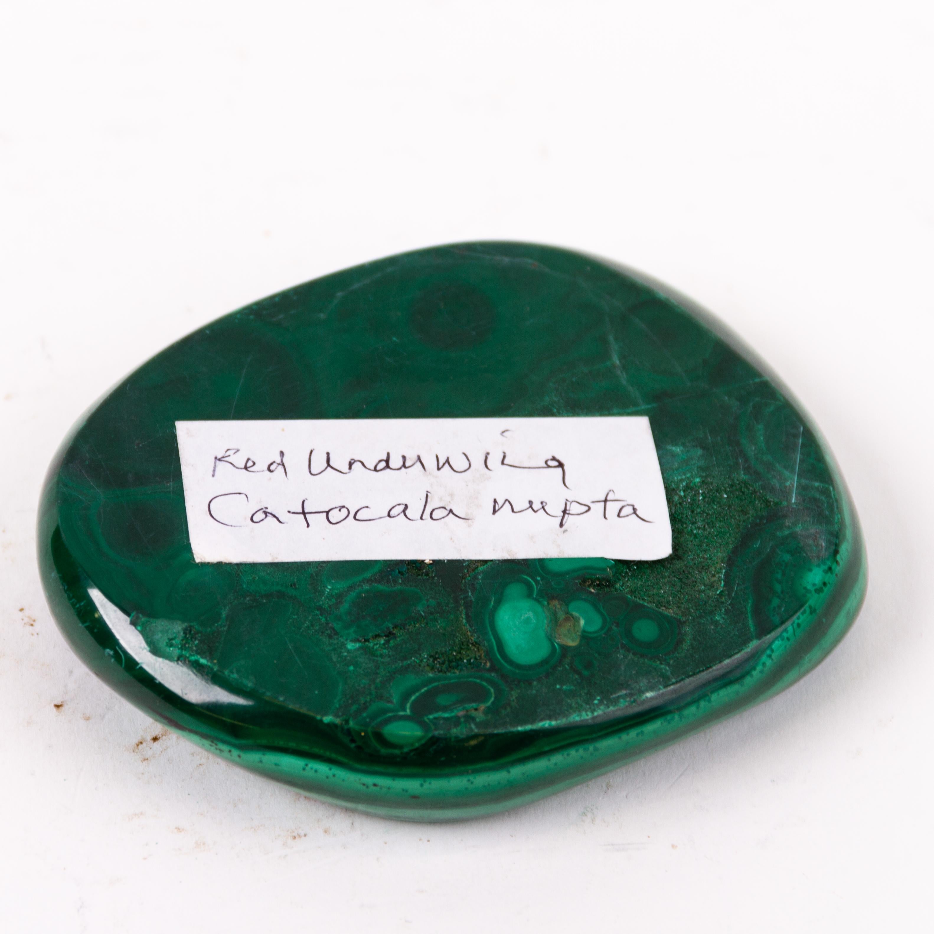 Malachite Geode Specimen Carved Ashtray or Vide Poche  For Sale 2