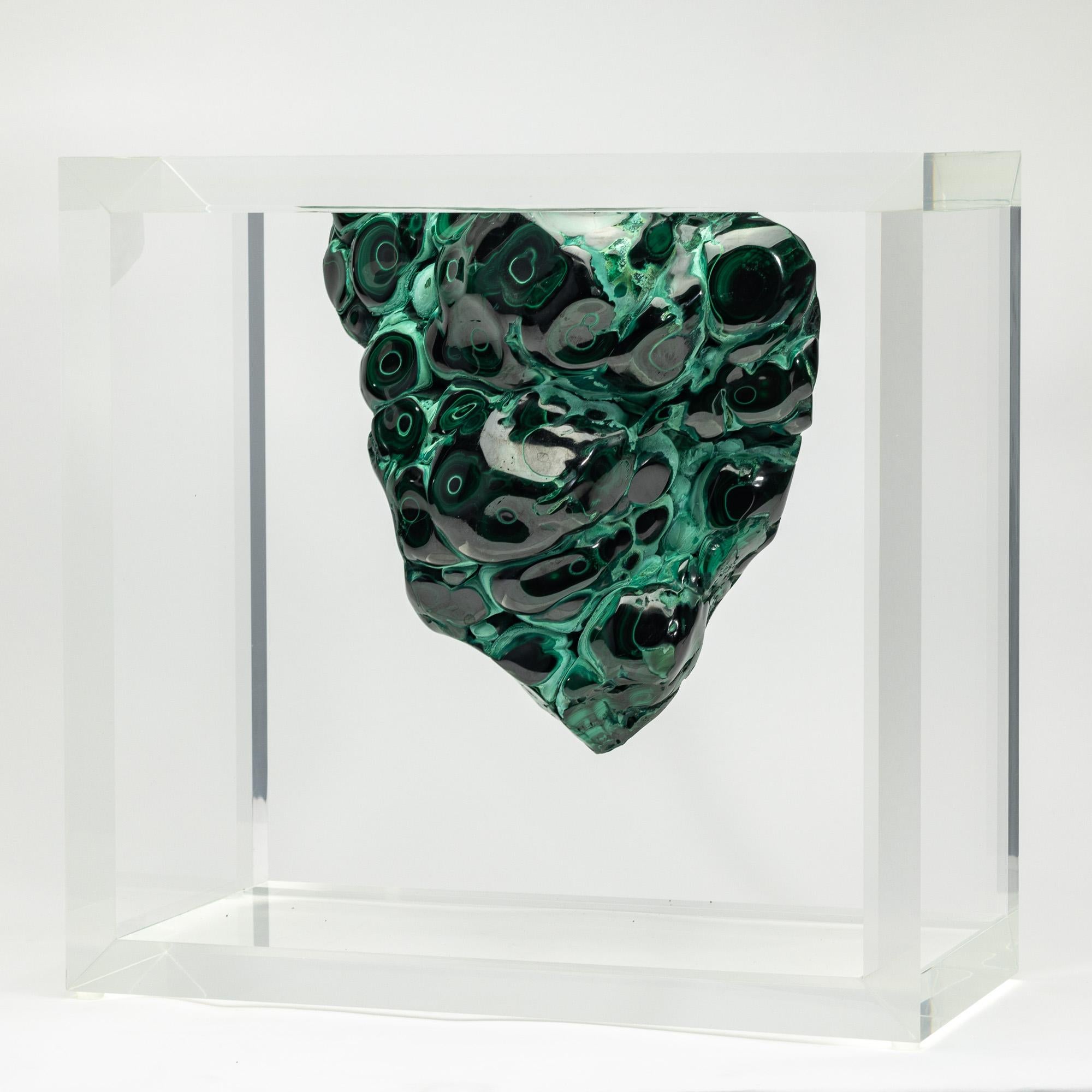 Rock in a Box è un progetto originale di Ernesto Duran che celebra tre aspetti chiave dell'esposizione di minerali e fossili. Innanzitutto, crea un punto di fuga che esalta la bellezza naturale del pezzo. In secondo luogo, mette in mostra il fossile