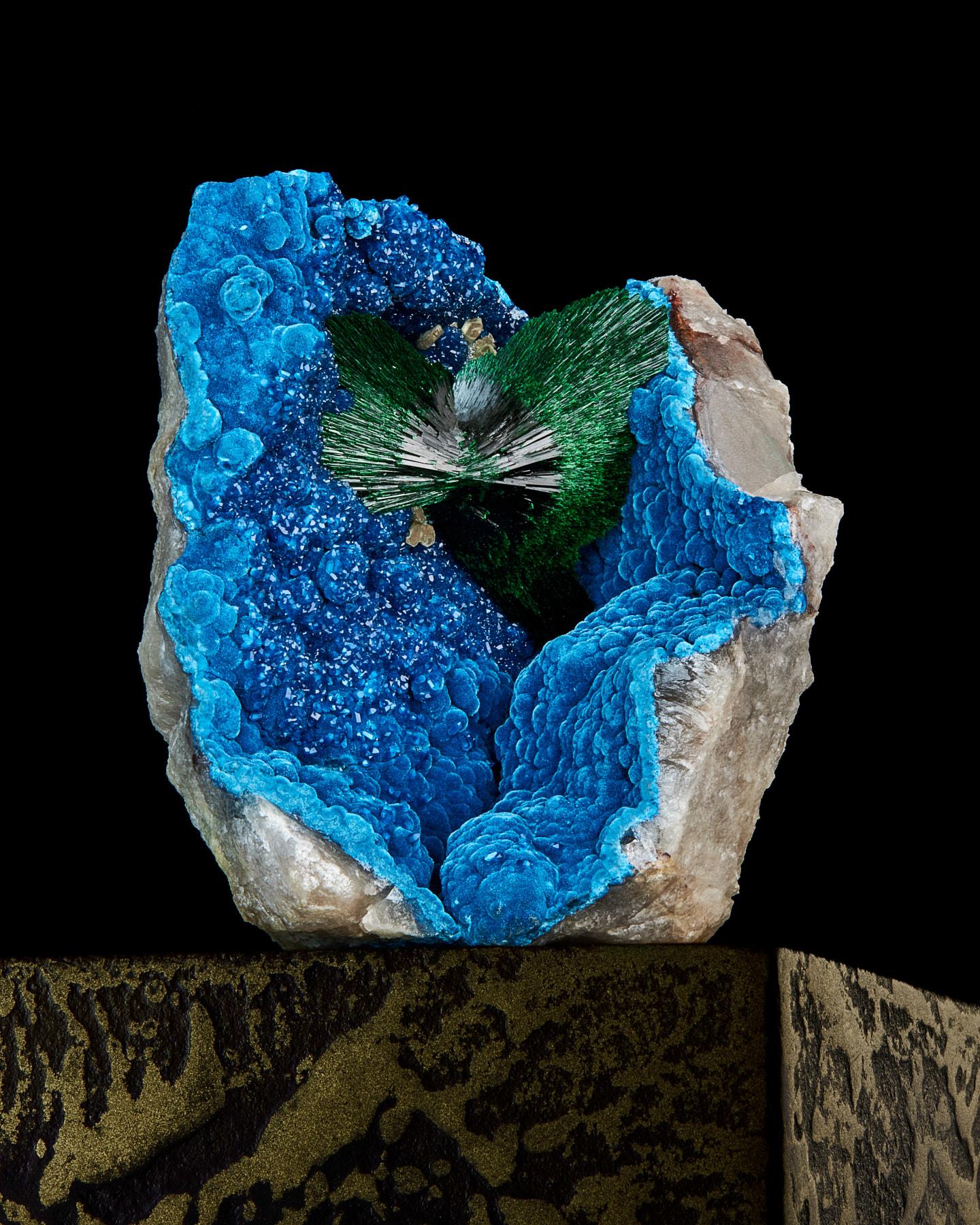 Malachite sur Shattuckite avec Quartz
Mine Omaue, plateau du Kaokoveld,
Région de Kunene, Namibie
7,1 cm de haut x 6,5 cm de large

Ex-collection Irv Brown

Photo ; couverture, Mineralogical Record, Vol. 44, Numéro 5, Sept.-Oct. 2013 

