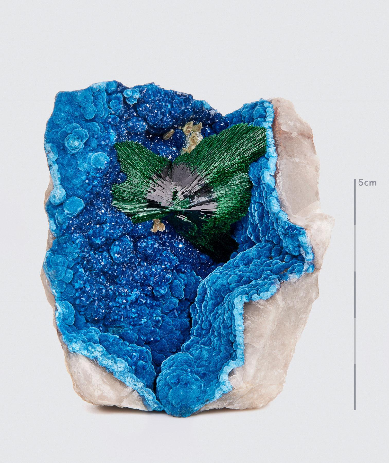 Namibien Malachite sur Shattuckite avec Quartz, Omaue Mine, Kaokoveld Plateau, Namibie en vente