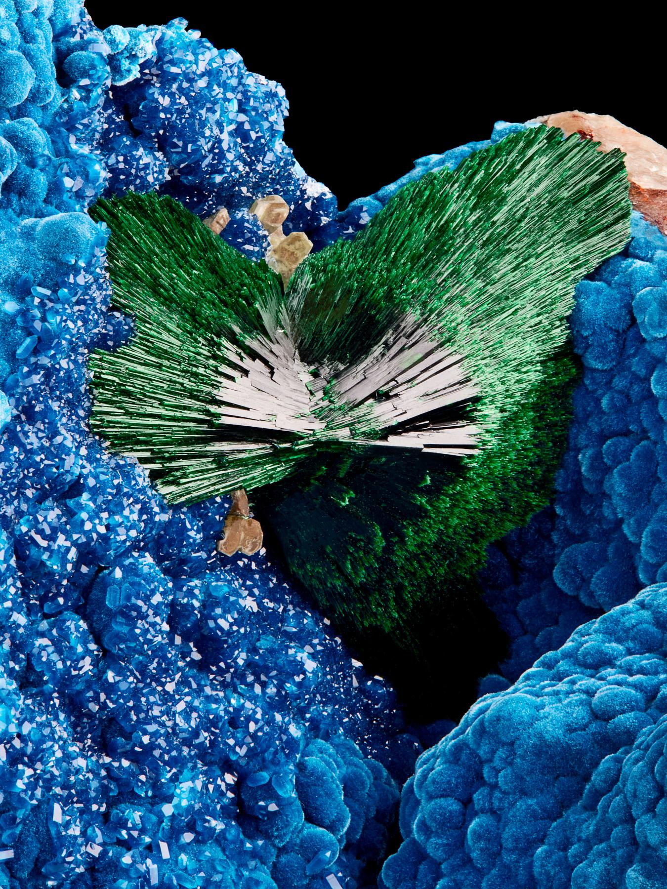 Malachite sur Shattuckite avec Quartz, Omaue Mine, Kaokoveld Plateau, Namibie Excellent état - En vente à New York, NY