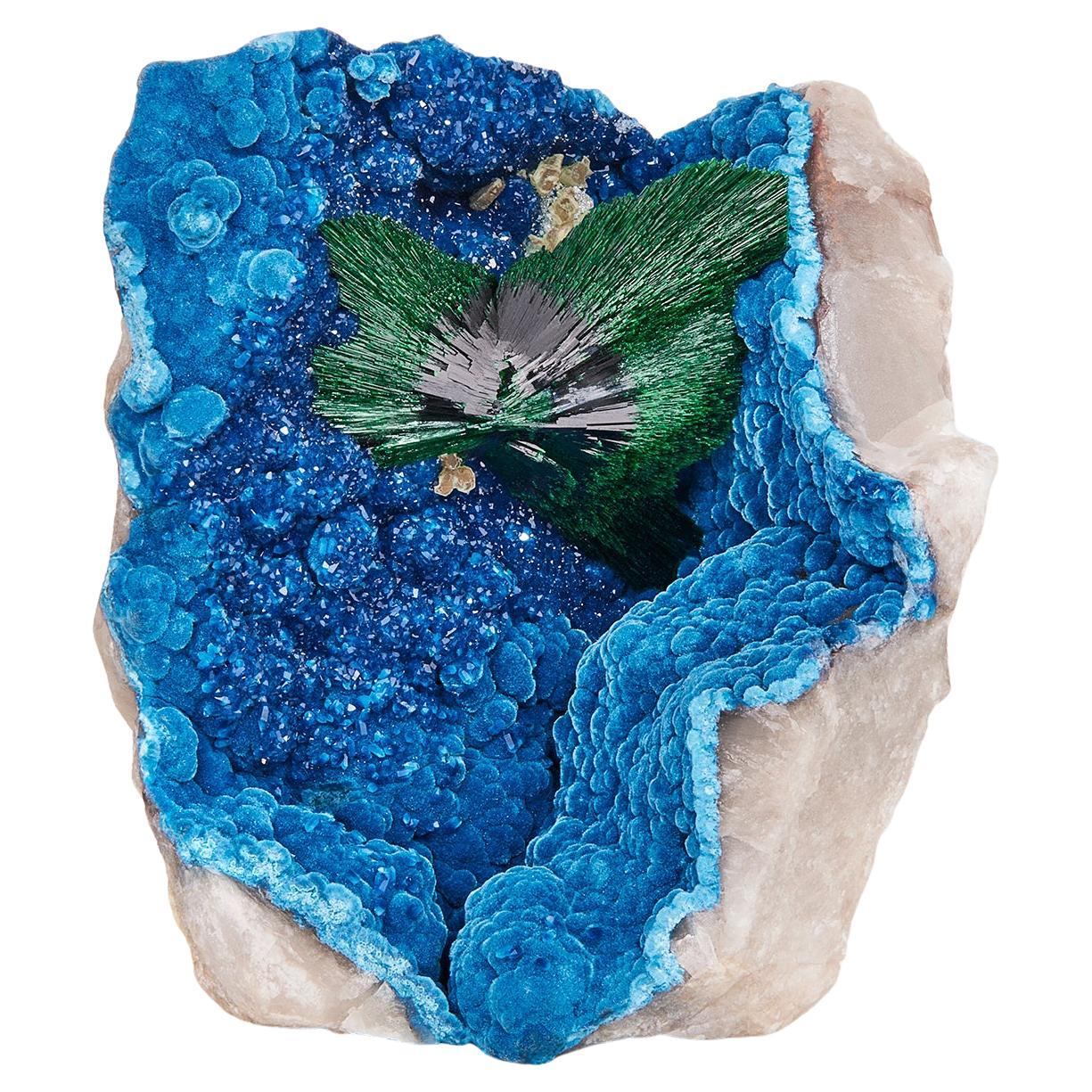 Malachite sur Shattuckite avec Quartz, Omaue Mine, Kaokoveld Plateau, Namibie en vente