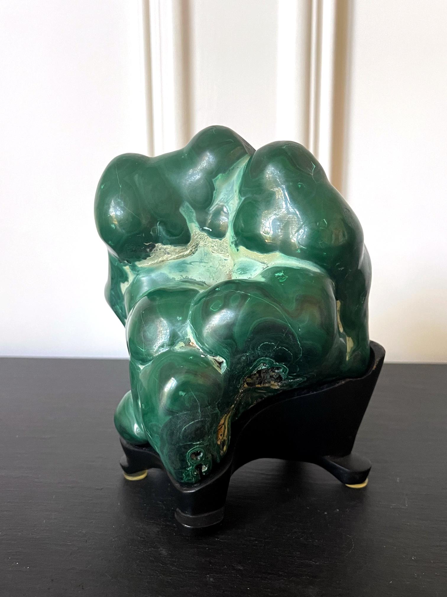 A malachite rock specimen with intense green and black colors fitted on a wood stand. The gemstone in the botryoidal form was polished in all sides except one side with a fissure to reveal the beautiful swirling patterns and colors. It is displayed