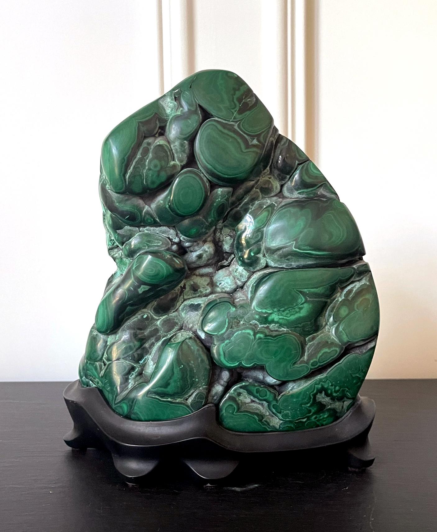 Un espécimen de roca de malaquita de intensos colores verde y negro encajado en un soporte de madera y expuesto como una piedra erudita china. La gema de forma botrioidal se pulió por tres lados, excepto la parte posterior, para revelar los bellos