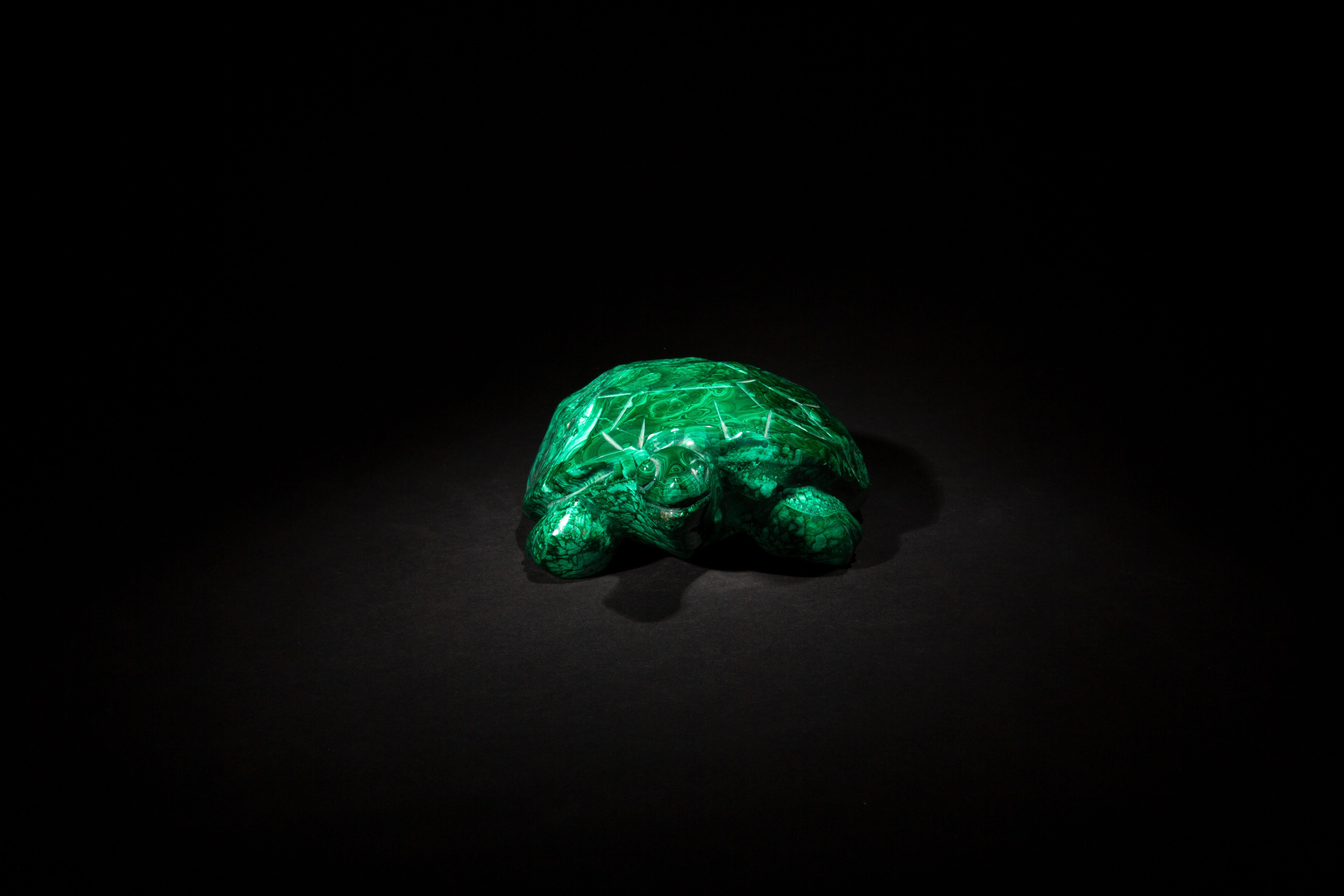 XXIe siècle et contemporain Turtle en malachite, 8,5