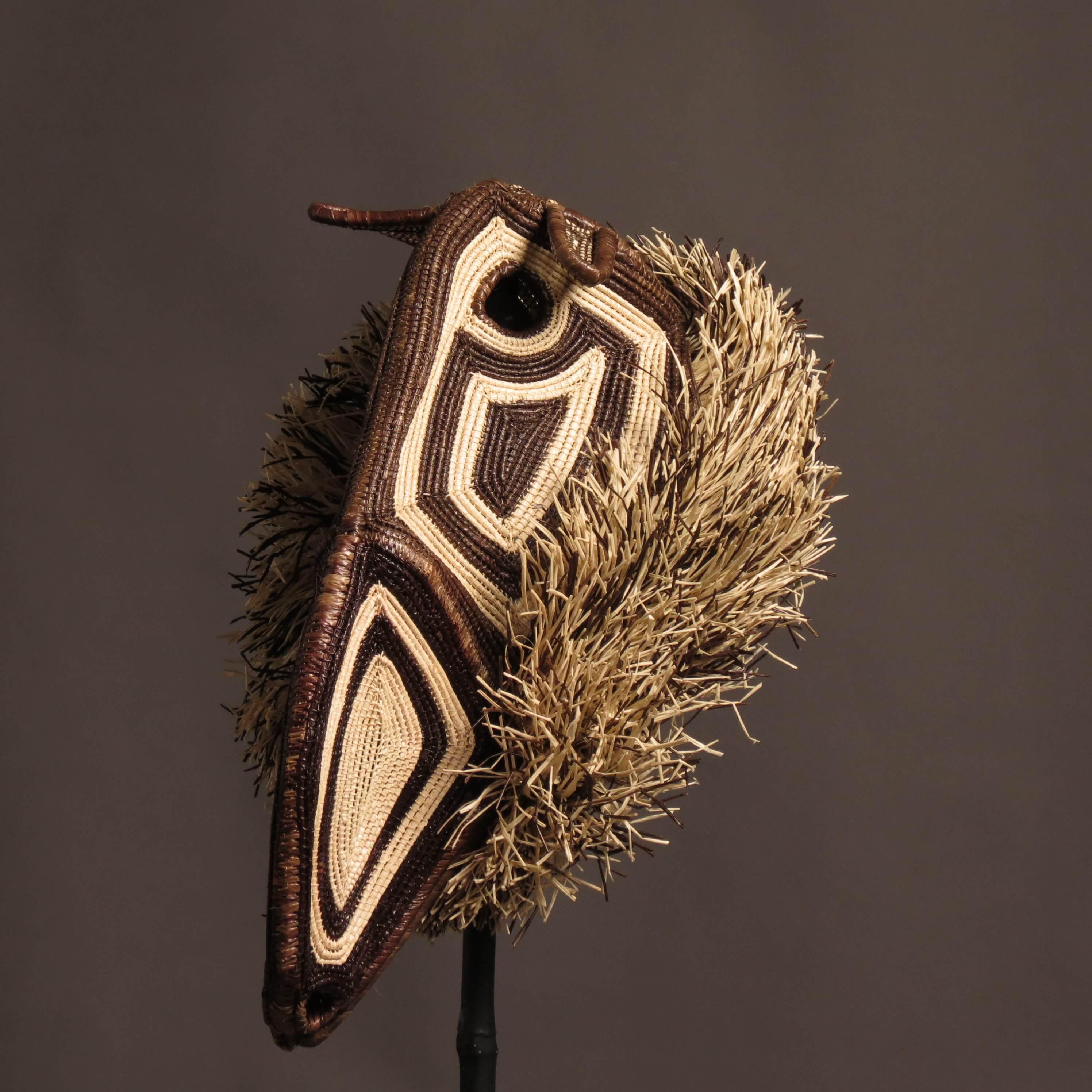 Hand-Crafted Shamanic Mask from the Rainforest Malanga For Sale