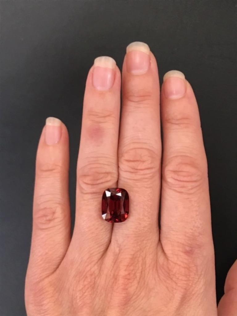 Impressive 10.15 carat Malaya Garnet cushion gem offered loose to a lady or gentleman.
Returns are accepted and paid by us within 7 days of delivery.
Dimensions: 13.50mm x 10.60mm x 7.80mm.
We offer supreme custom jewelry work upon request. Please