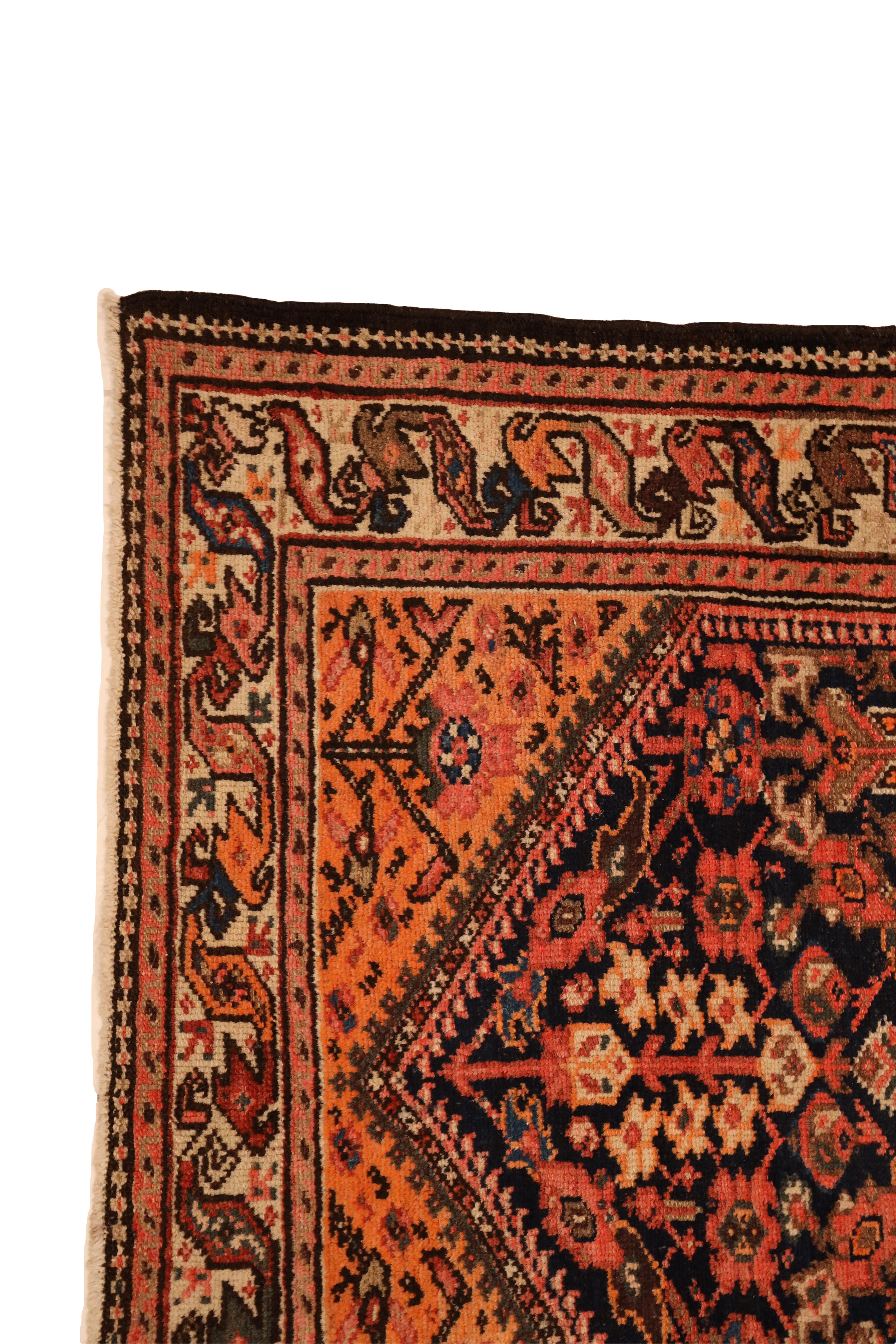 Introducing the Malayer Floral Tapestry Runner – a captivating rug that effortlessly weaves together tradition and vibrancy, creating a stunning visual narrative for your space. Against a dramatic black background, this runner boasts an exquisite